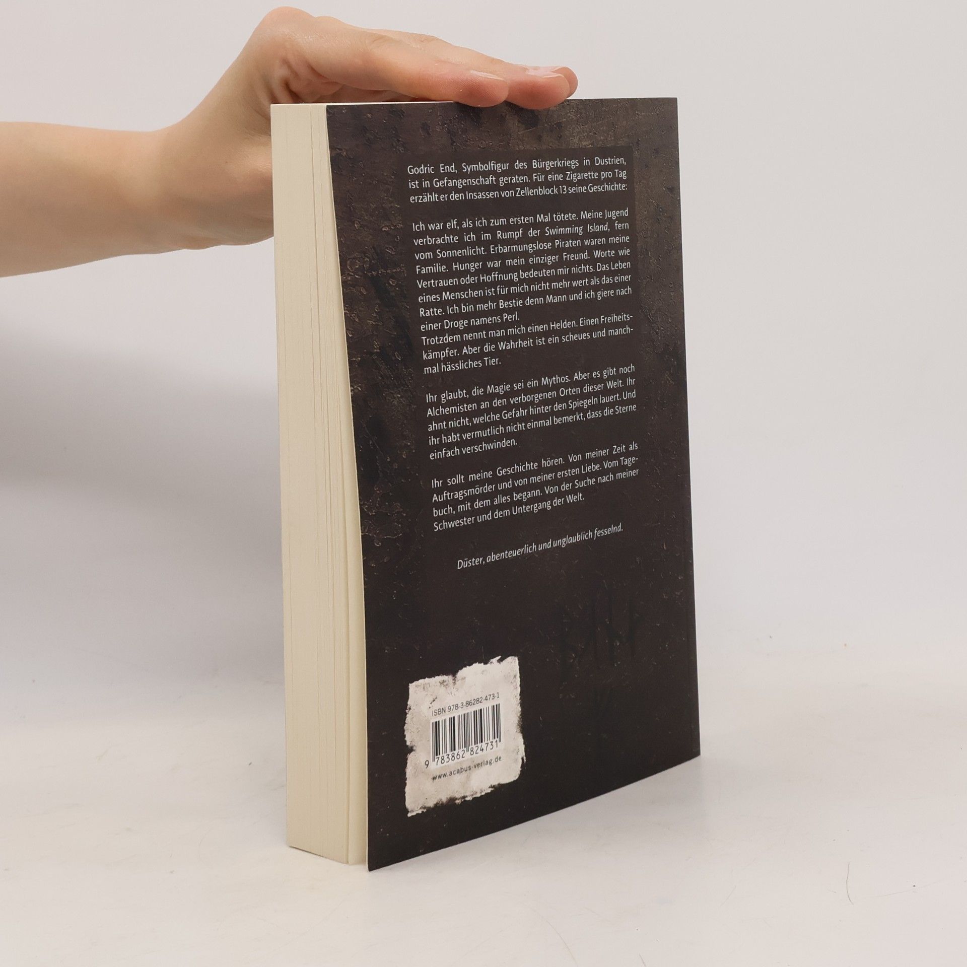 Carl Wilckens Das Tagebuch