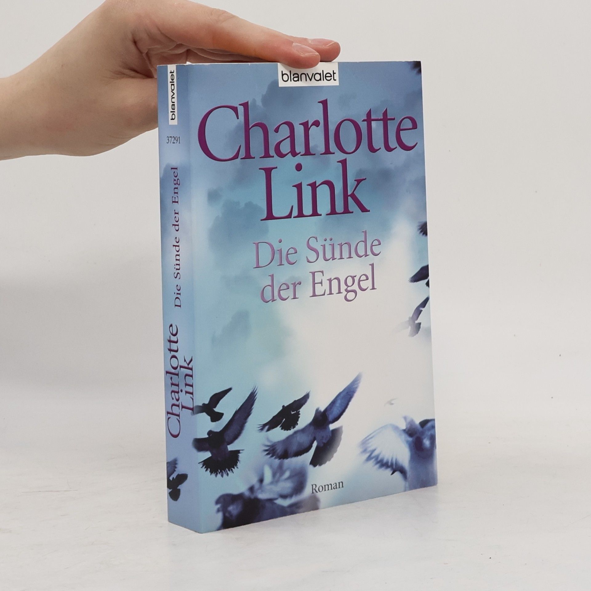 Charlotte Link Die Sünde der Engel