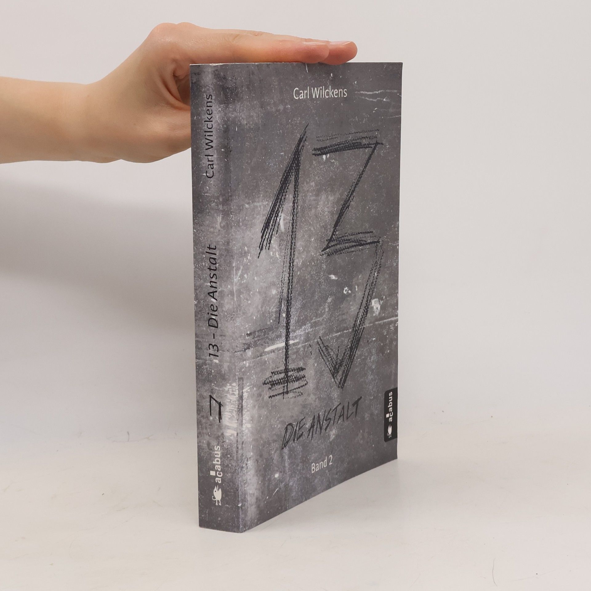 Carl Wilckens Dreizehn. Die Anstalt. Band 2
