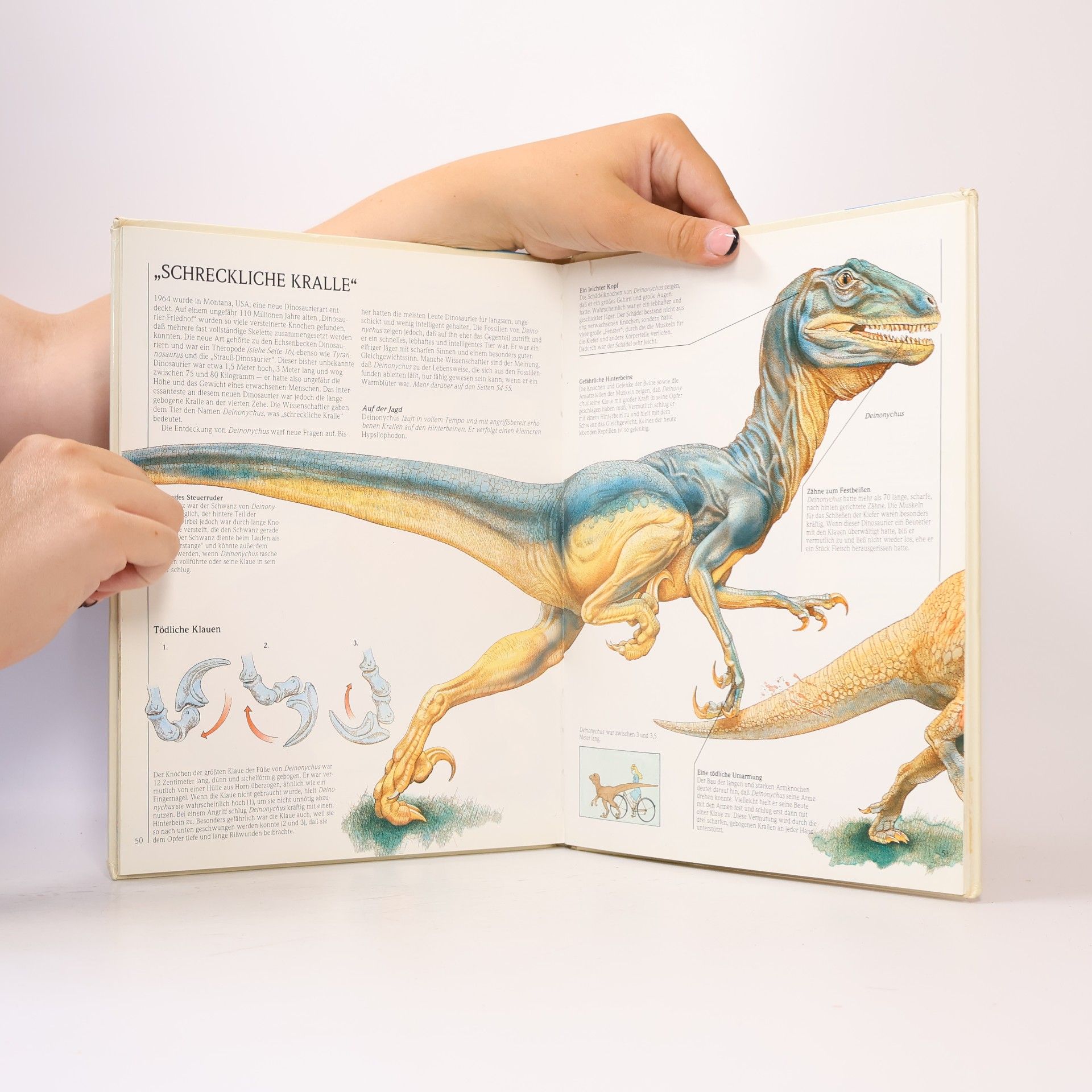 Steve Parker Dinosaurier und wie sie lebten