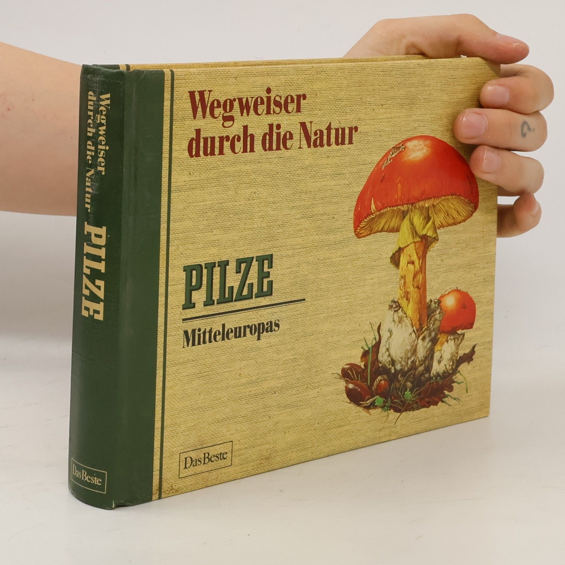 Kolektiv autorů Wegweiser durch die Natur. Pilze