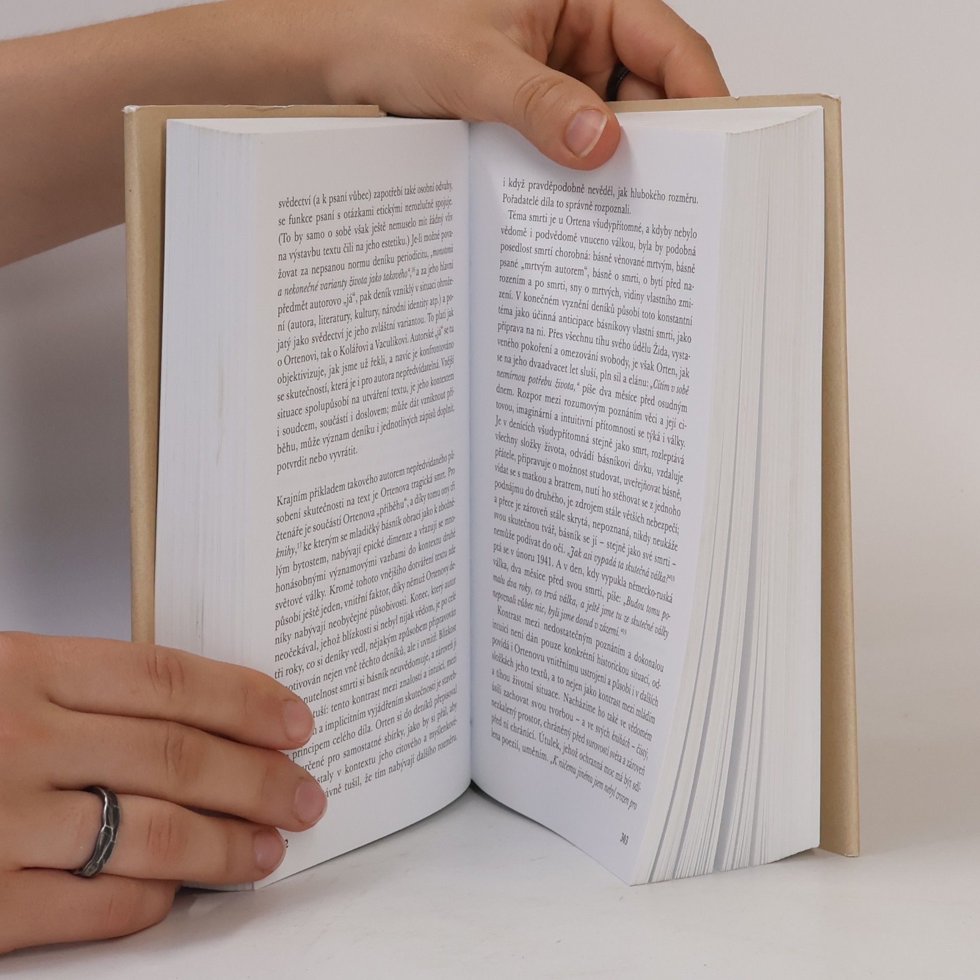 Sylvie Richterová Eseje o české literatuře