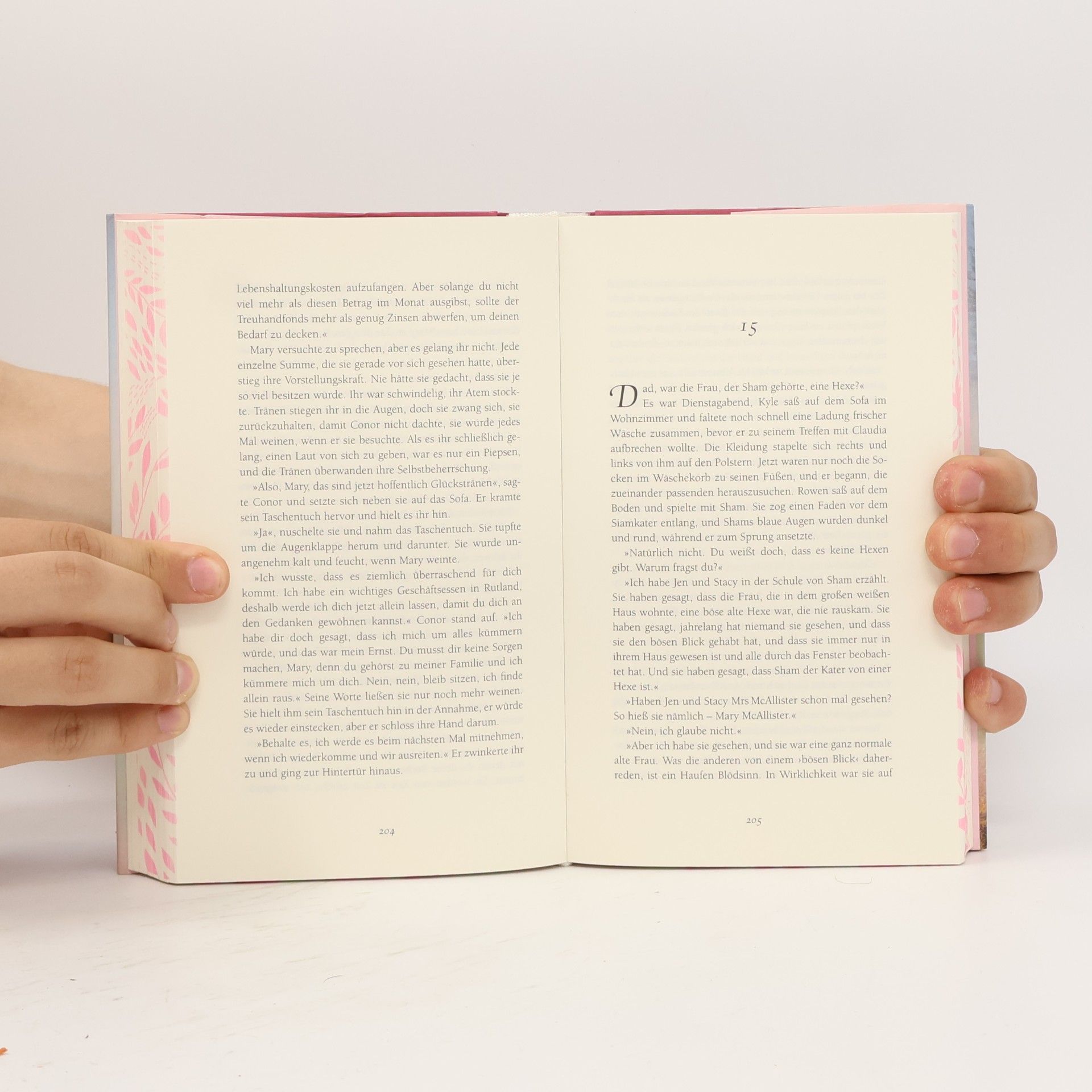 Darcie Chan Sehnsucht nach Mill River
