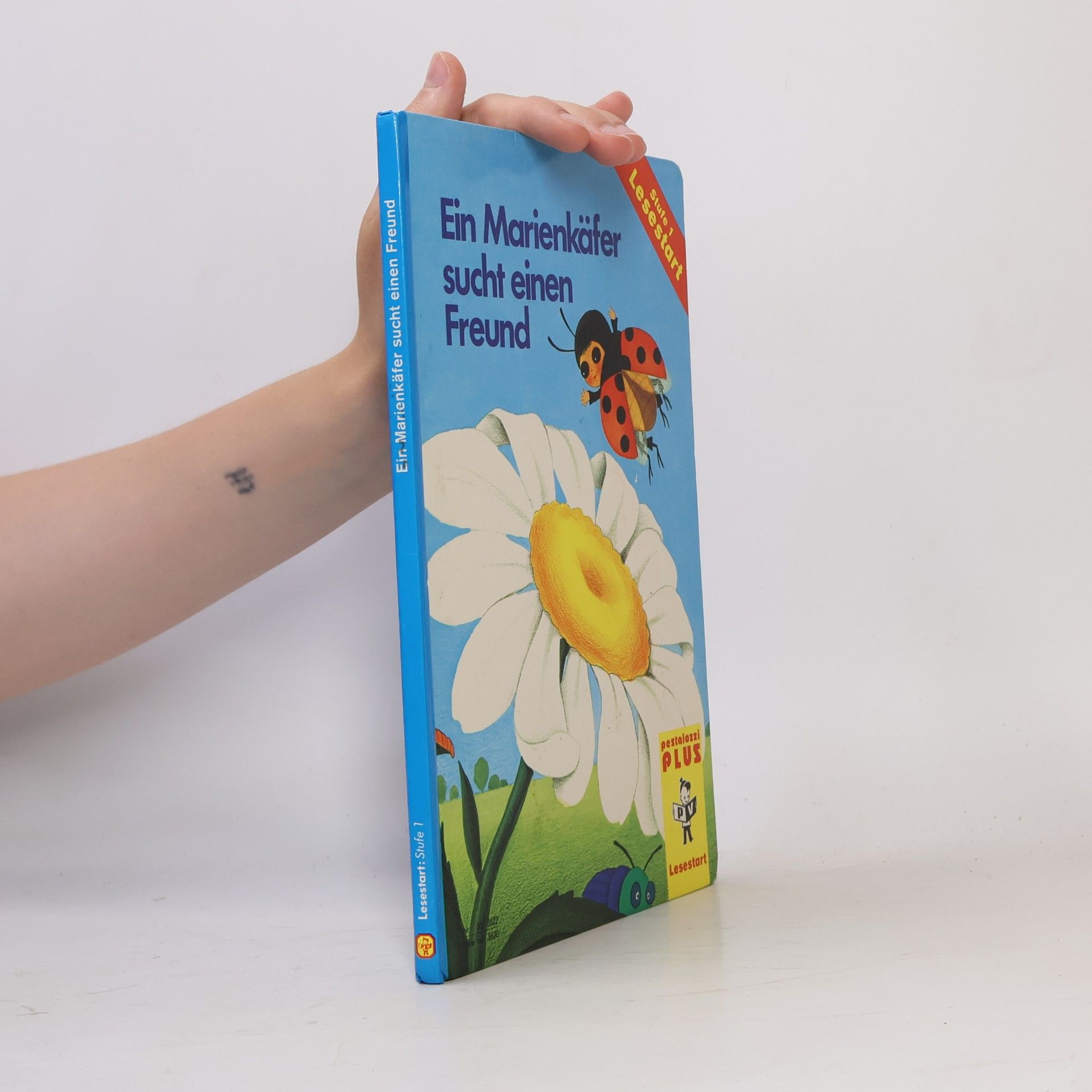 Snežana Pejaković Ein Marienkäfer sucht einen Freund