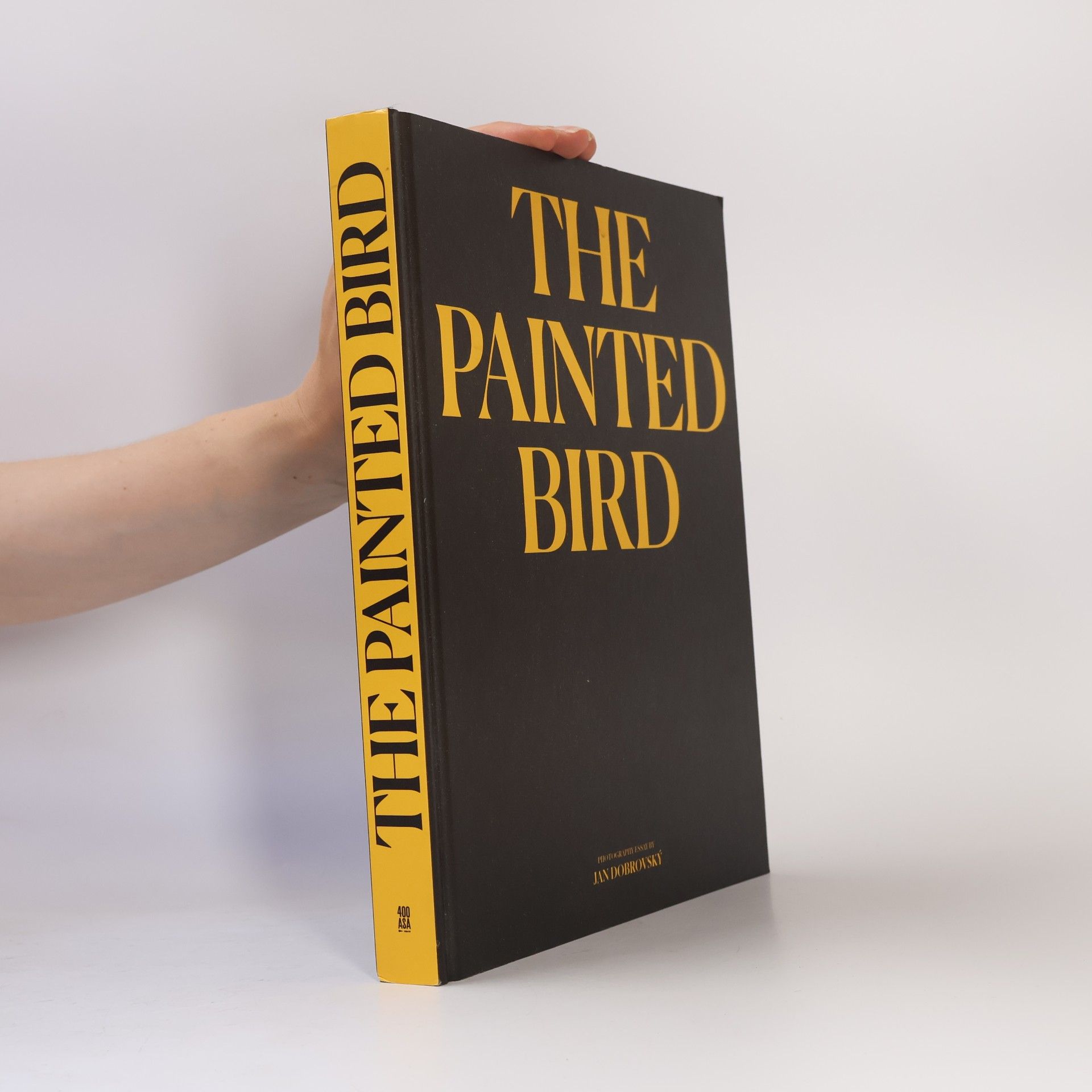 Jan Dobrovský The Painted Bird