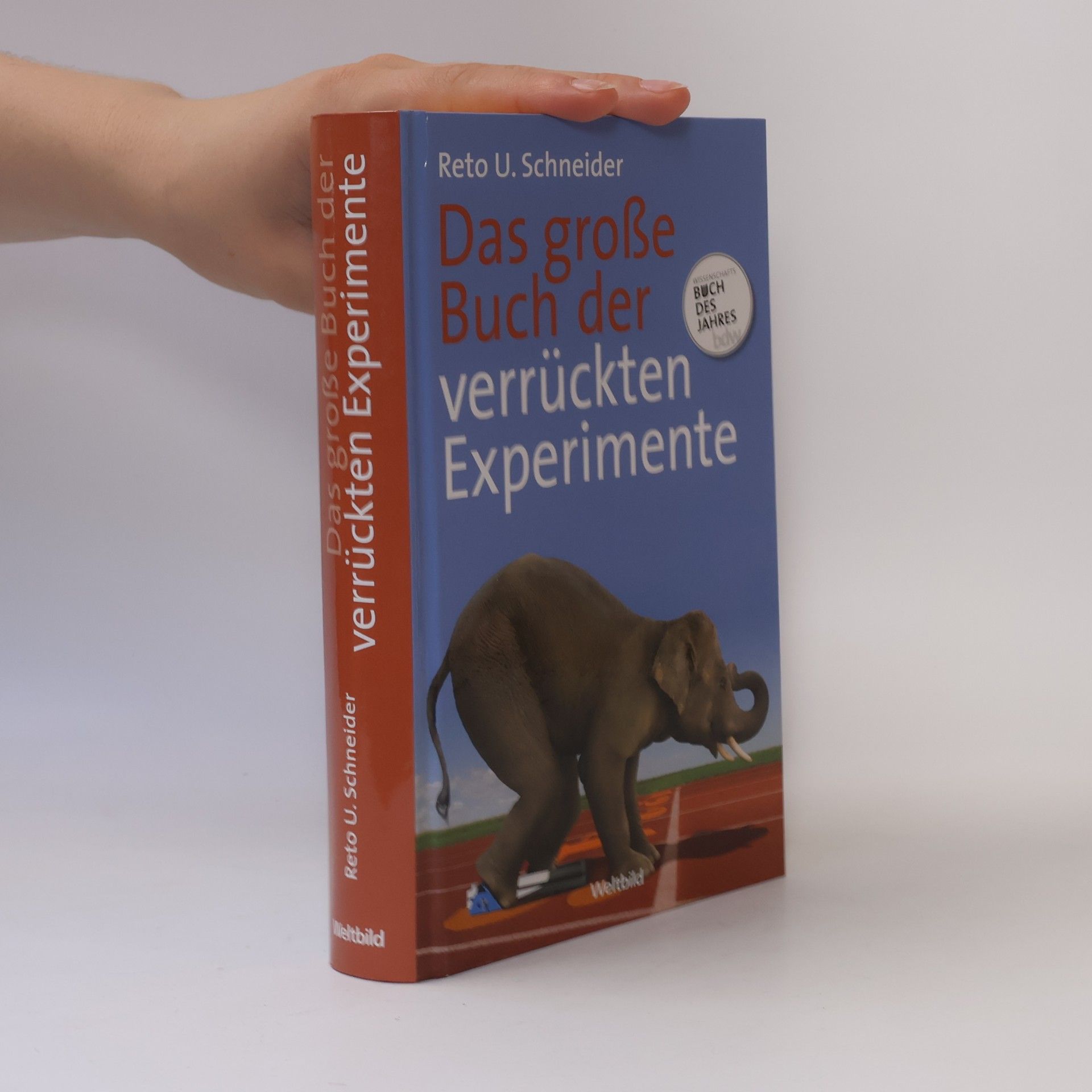 Reto U. Schneider Das große Buch der verrückten Experimente