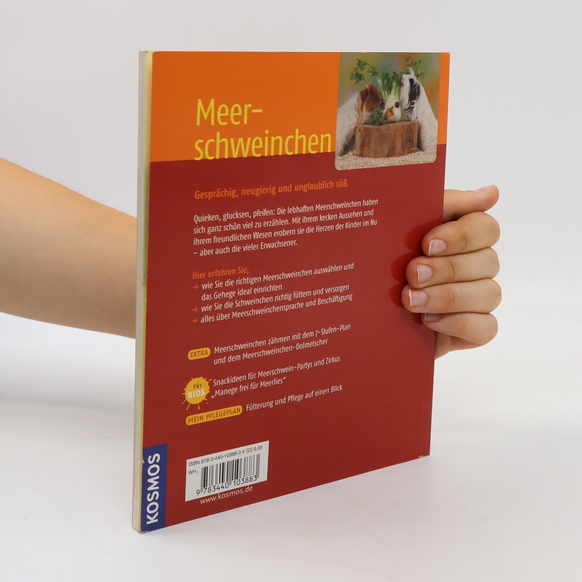 Angela Beck Meerschweinchen
