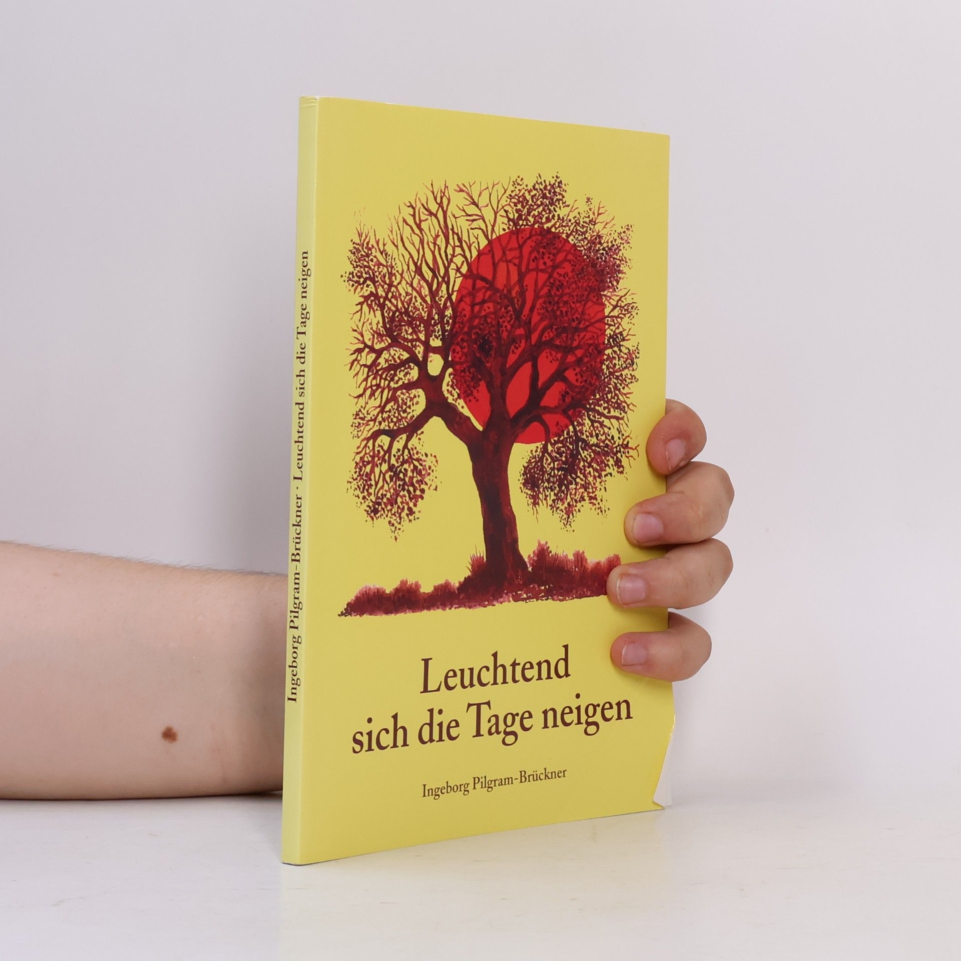 Ingeborg Pilgrim-Brückner Leuchtend sich die Tage neigen