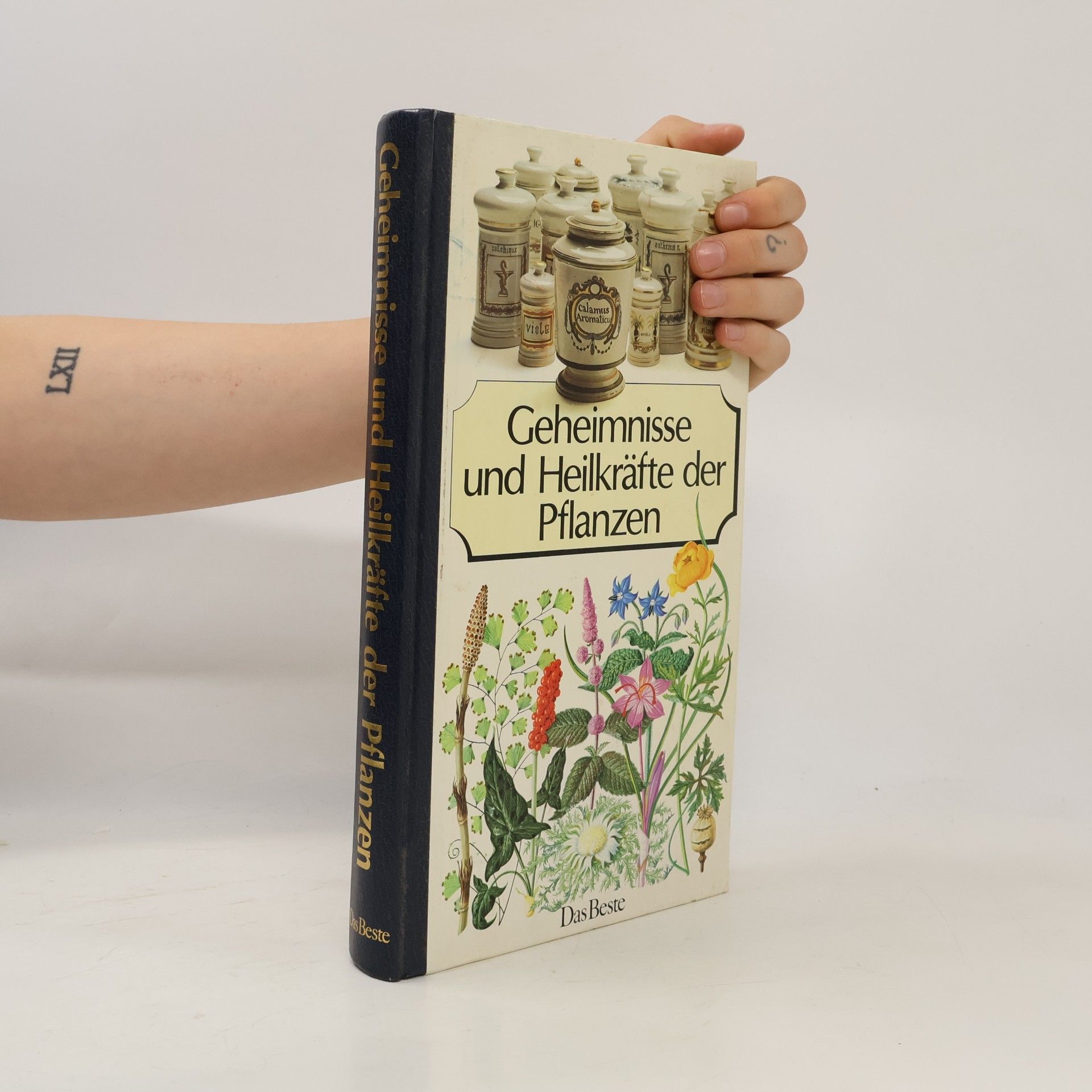 Autores varios Geheimnisse und Heilkräfte der Pflanzen