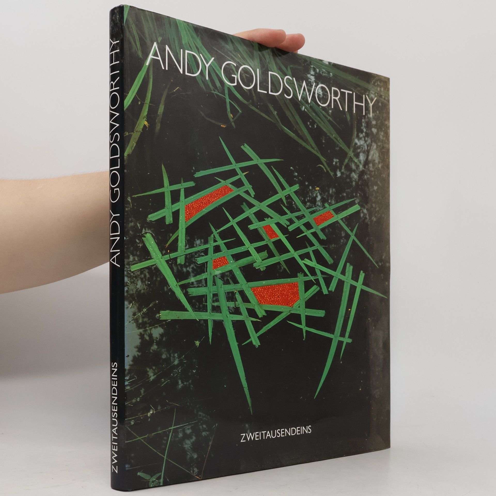 Andy Goldsworthy Andy Goldsworthy