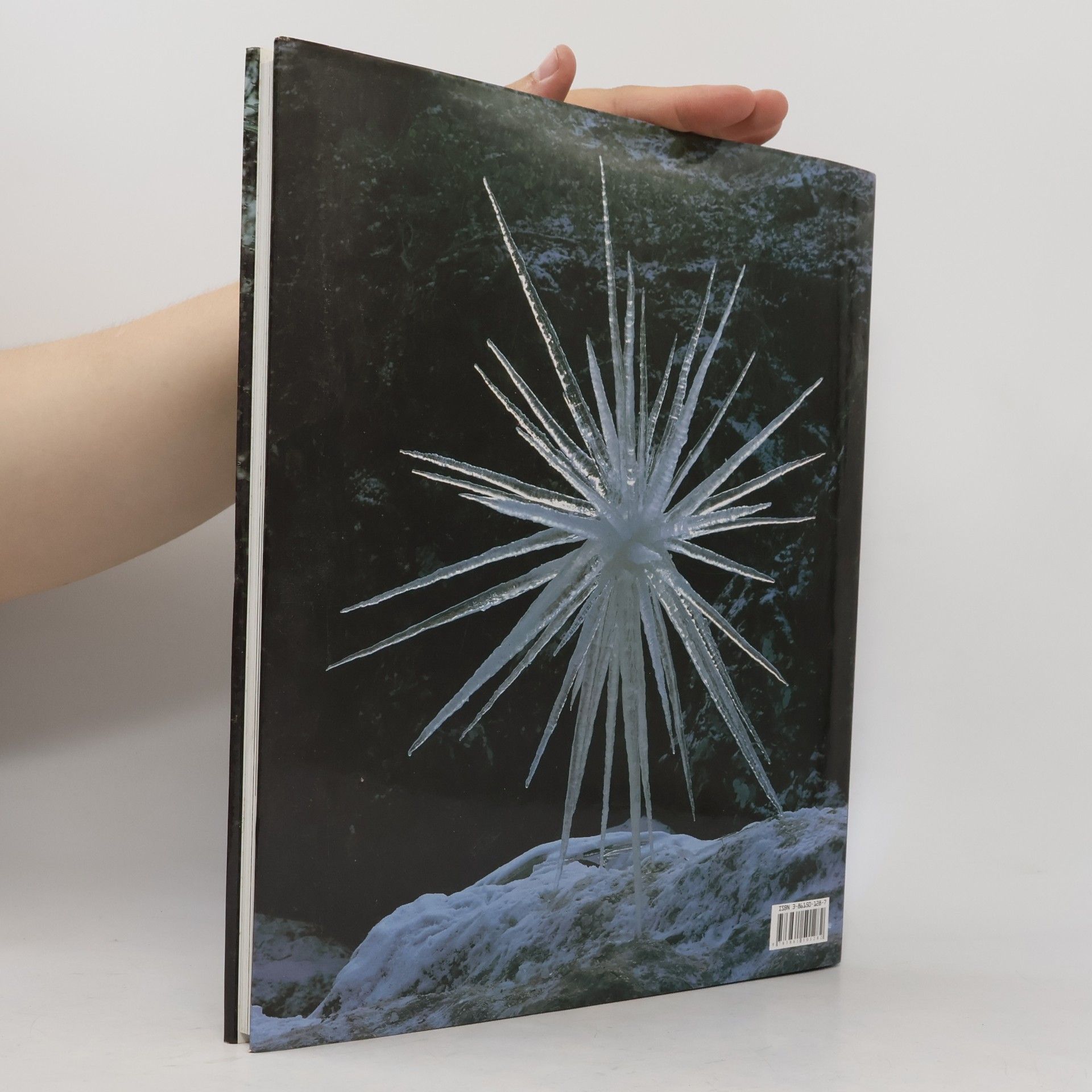 Andy Goldsworthy Andy Goldsworthy