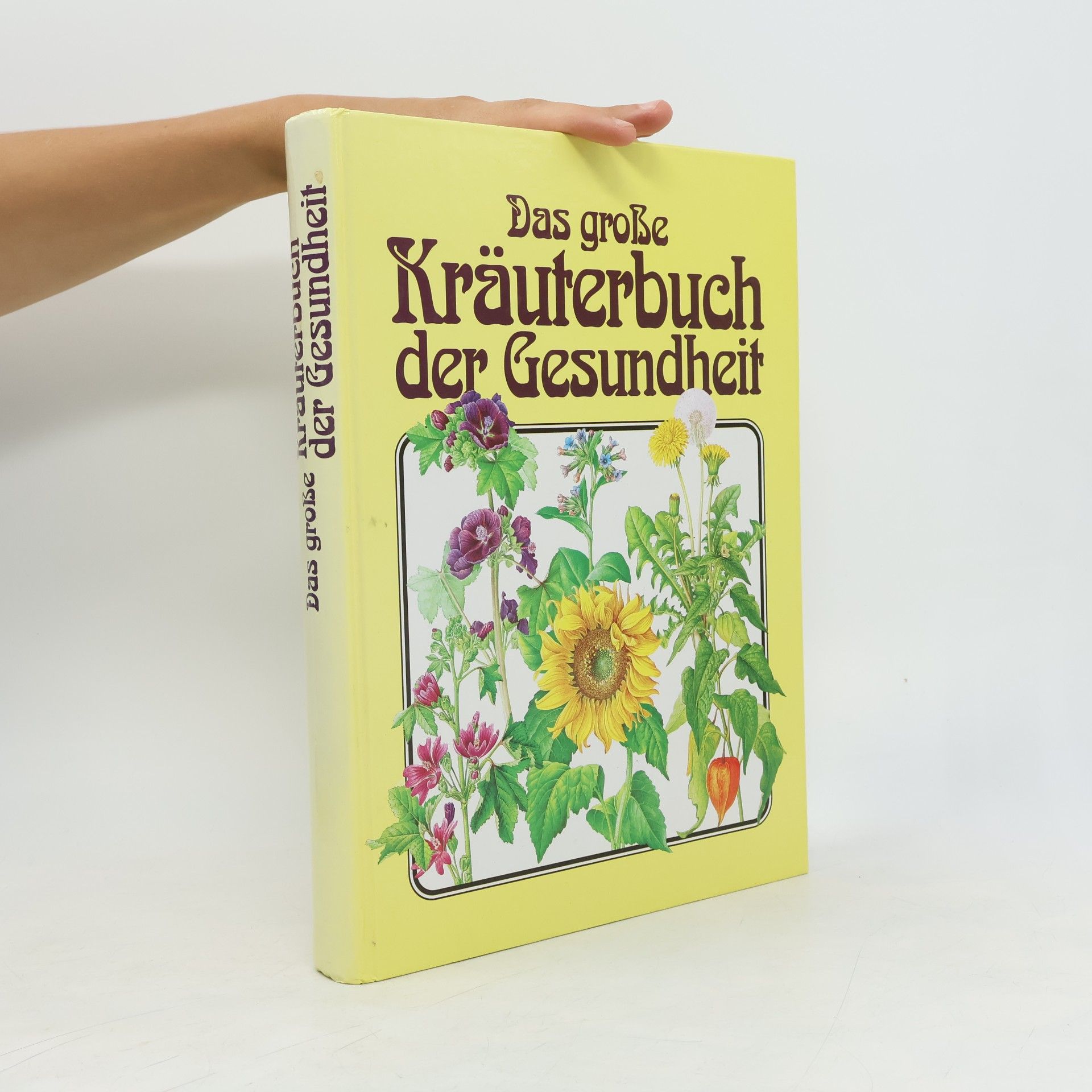 Hermann Lichtenstern Das große Kräuterbuch der Gesundheit