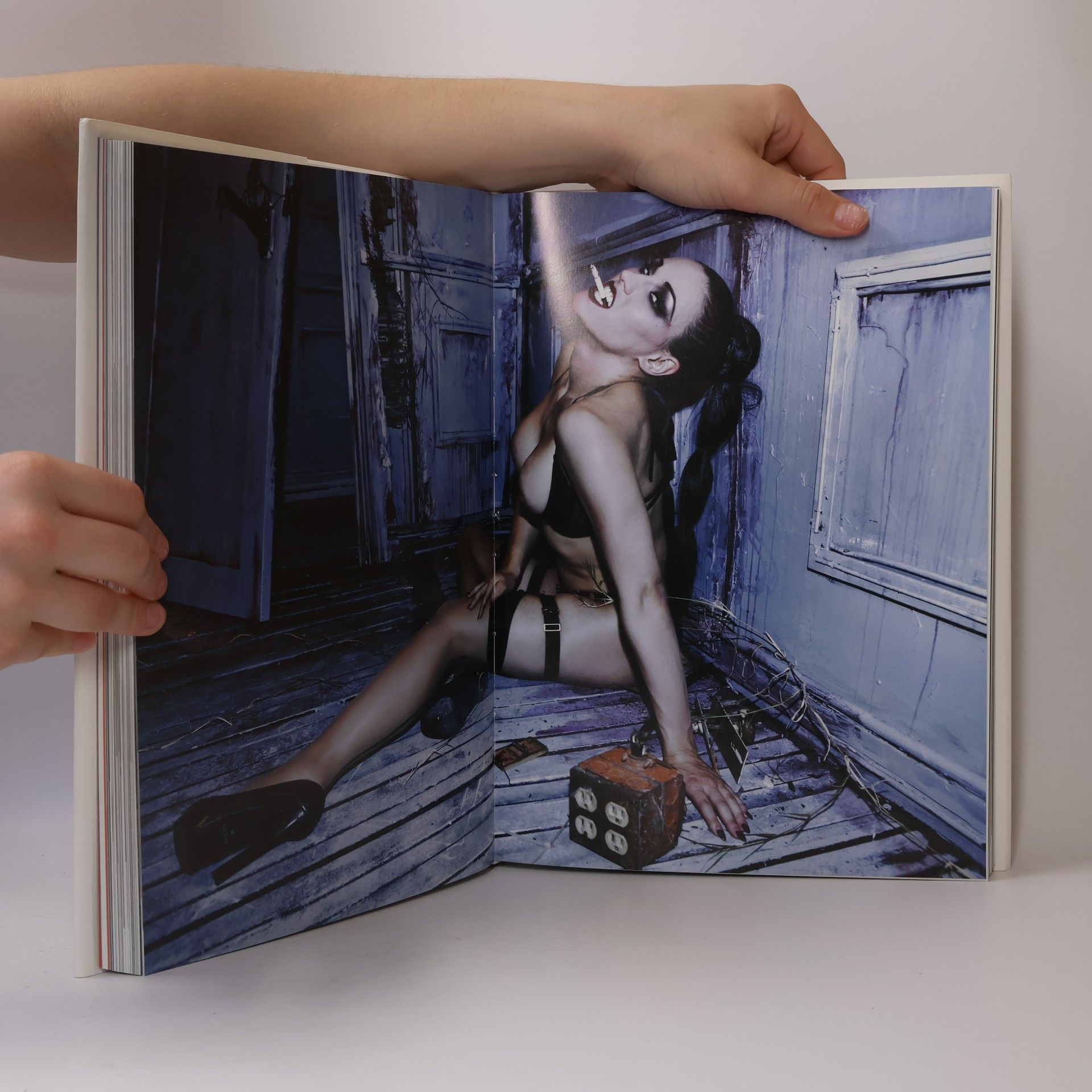 Dian Hanson The New Erotic Photography