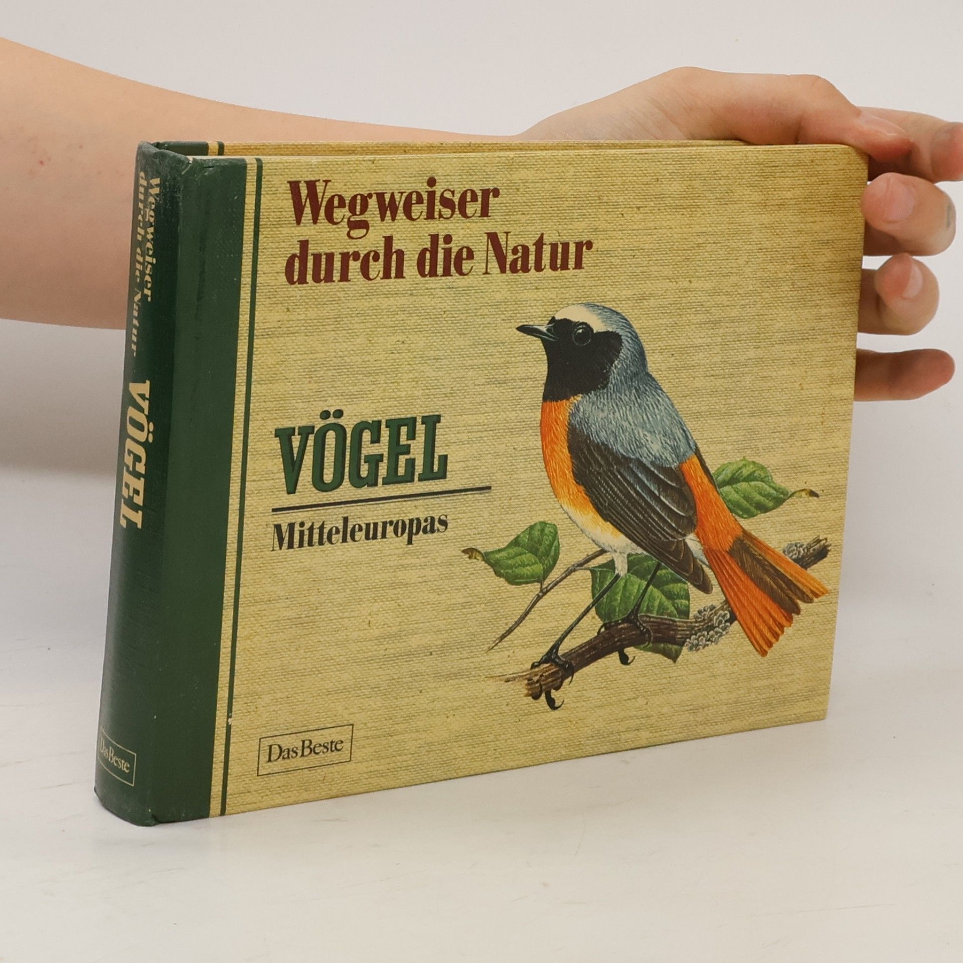 Autores varios Wegweiser durch die Natur. Vögel Mitteleuropas