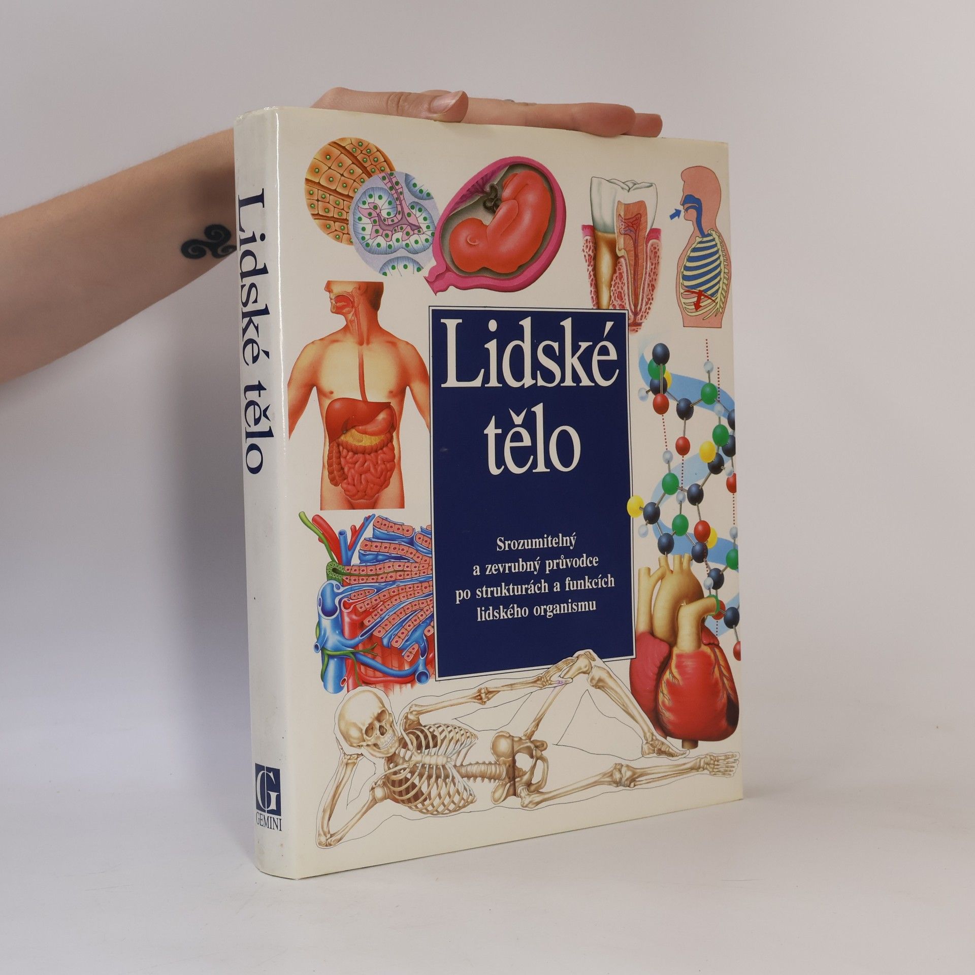 Autorenkollektiv Lidské tělo : Srozumitelný a zevrubný průvodce po strukturách a funkcích lidského organismu