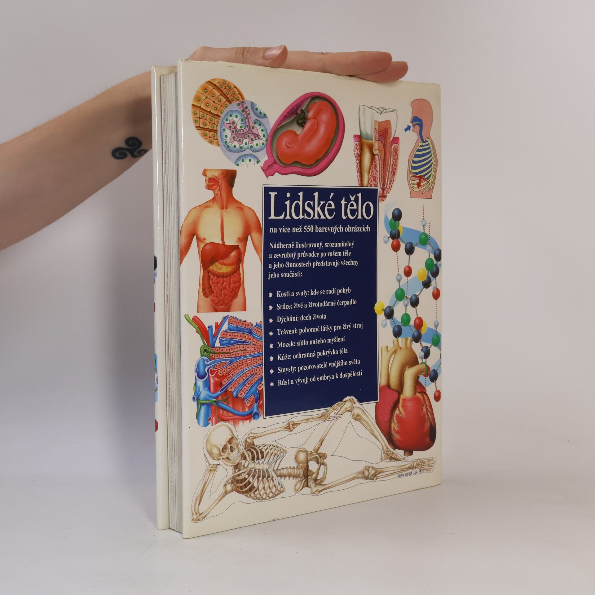 Autorenkollektiv Lidské tělo : Srozumitelný a zevrubný průvodce po strukturách a funkcích lidského organismu