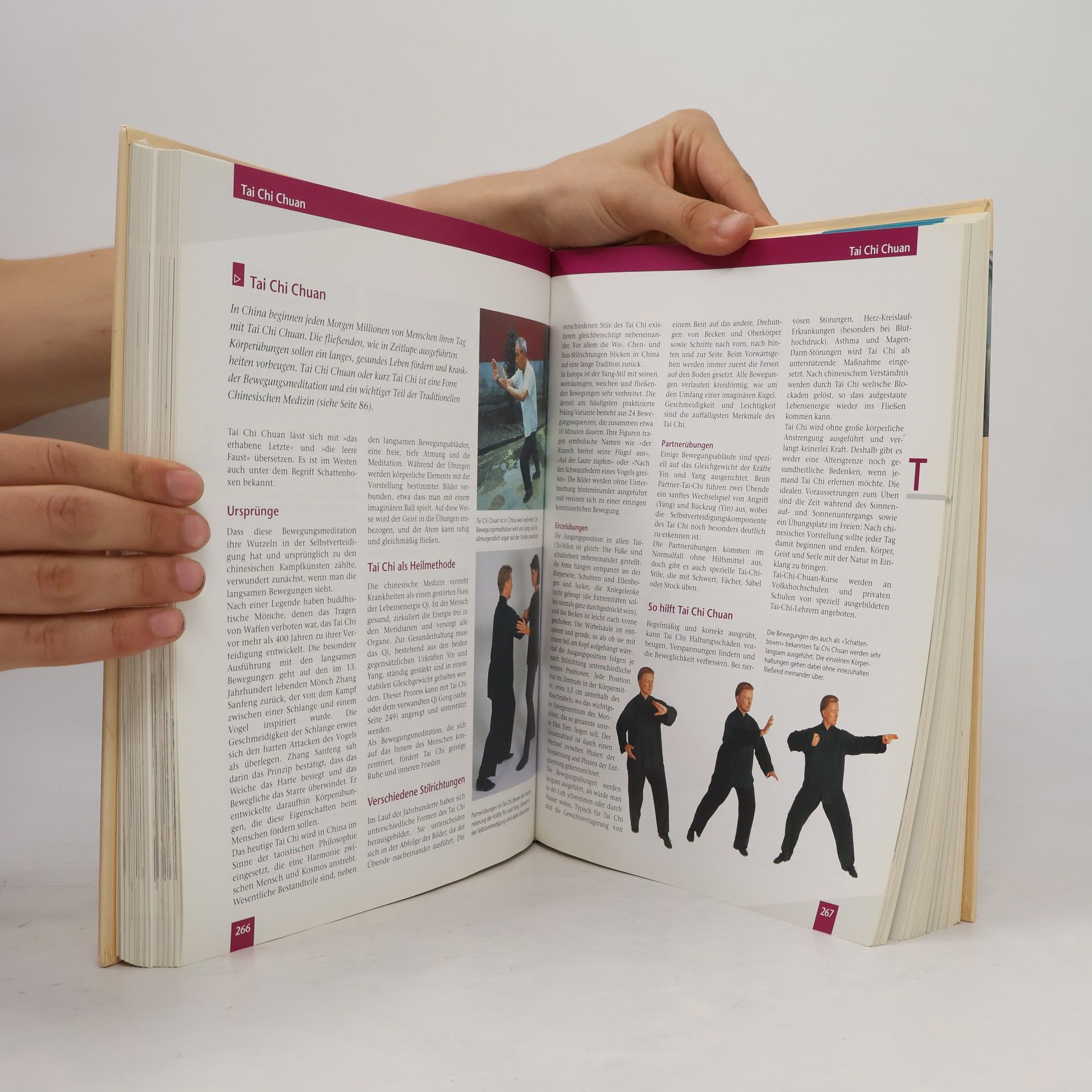 Doro Kammerer Das große Hausbuch Sanfte Medizin