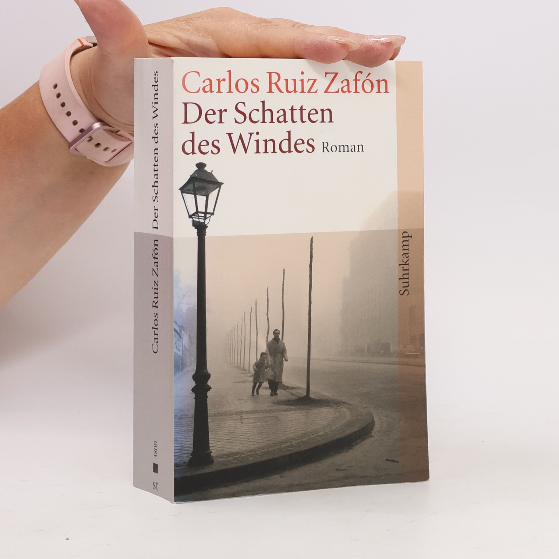 Carlos Ruiz Zafón Der Schatten des Windes
