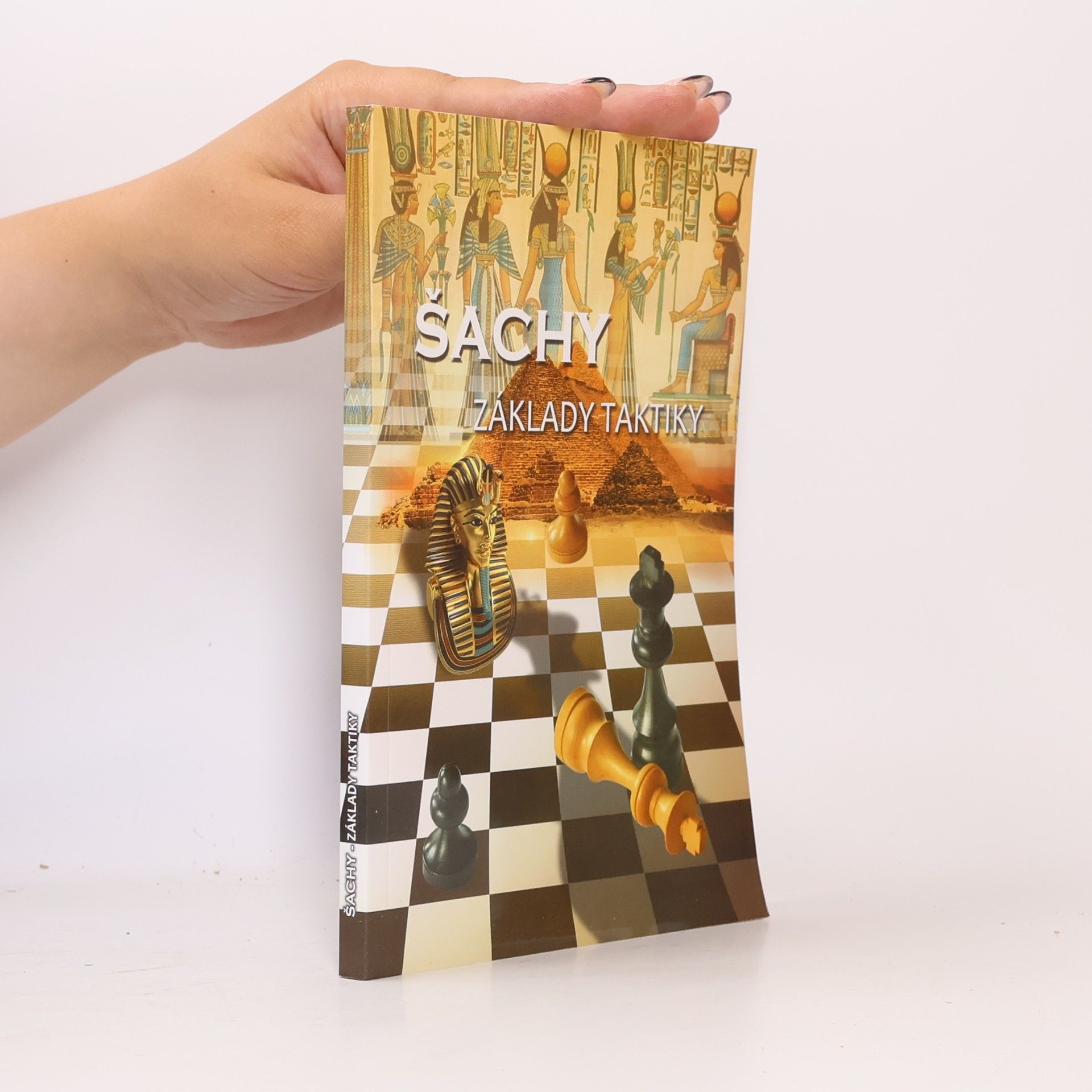 Šachy - Základy taktiky