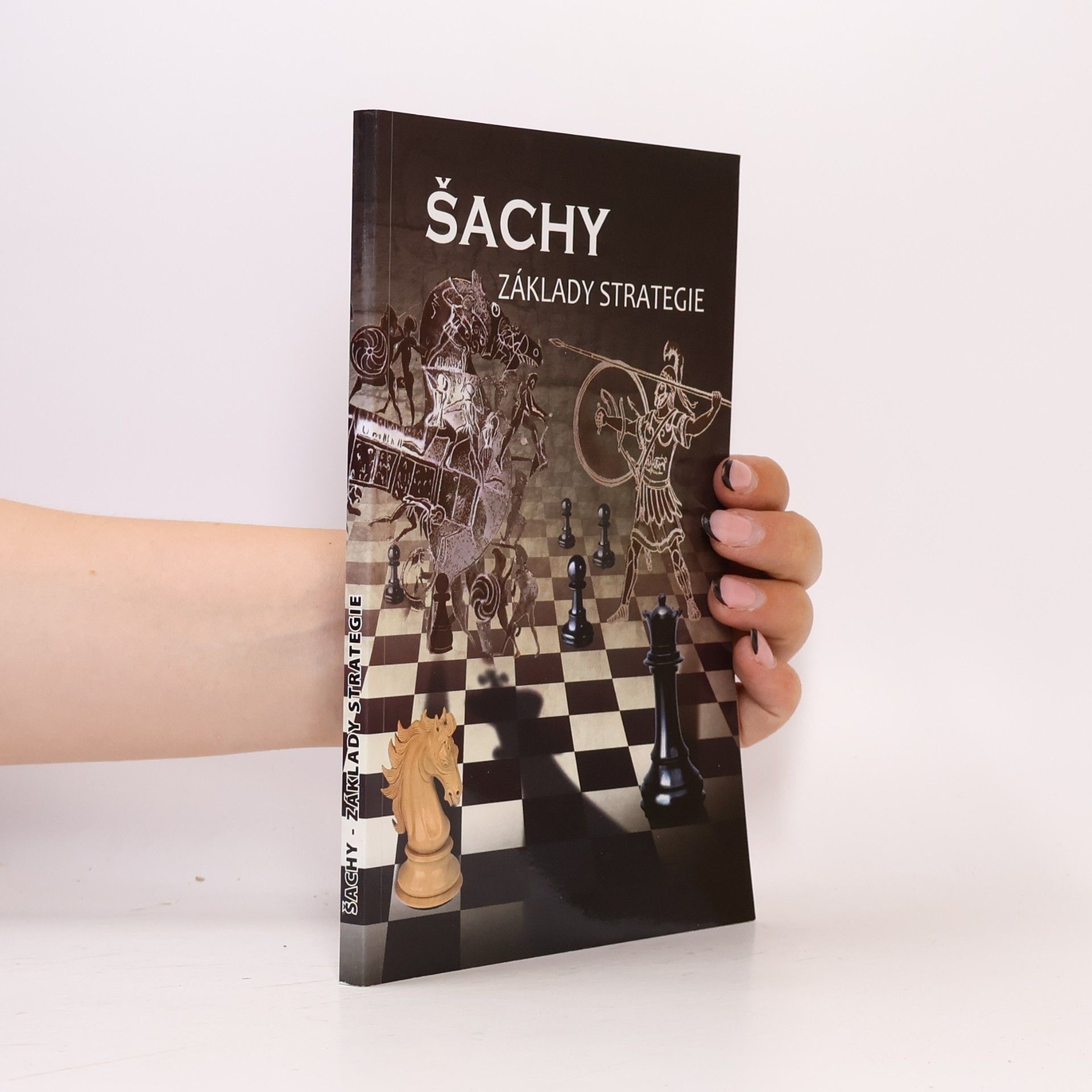 Šachy - Základy strategie