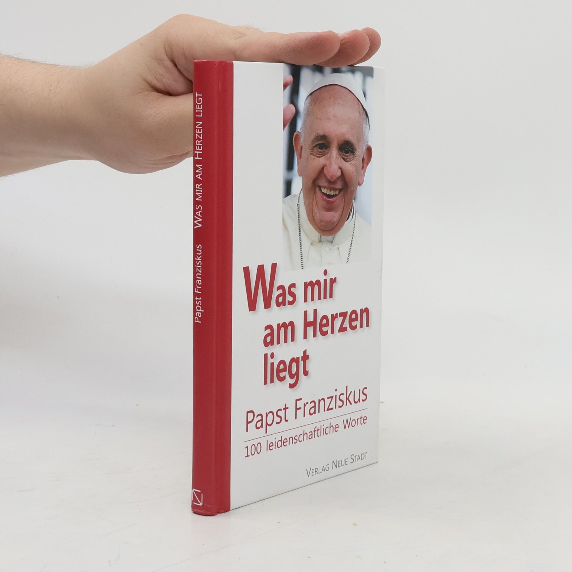 Papst Franziskus Was mir am Herzen liegt