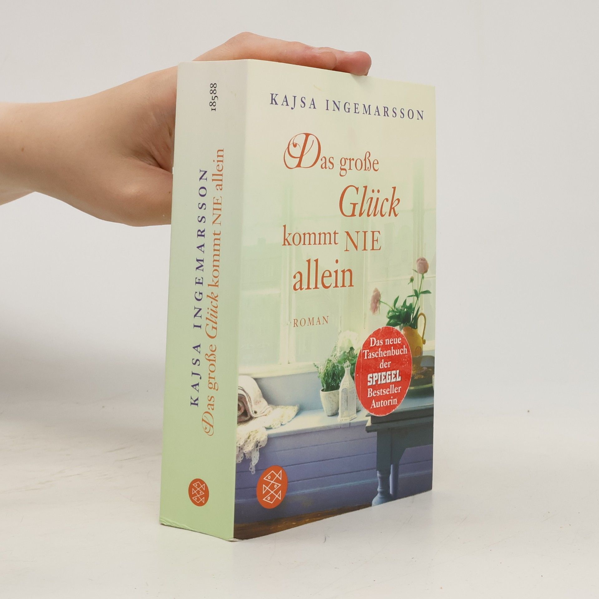 Kajsa Ingemarsson Das grose Glück kommt nie allein