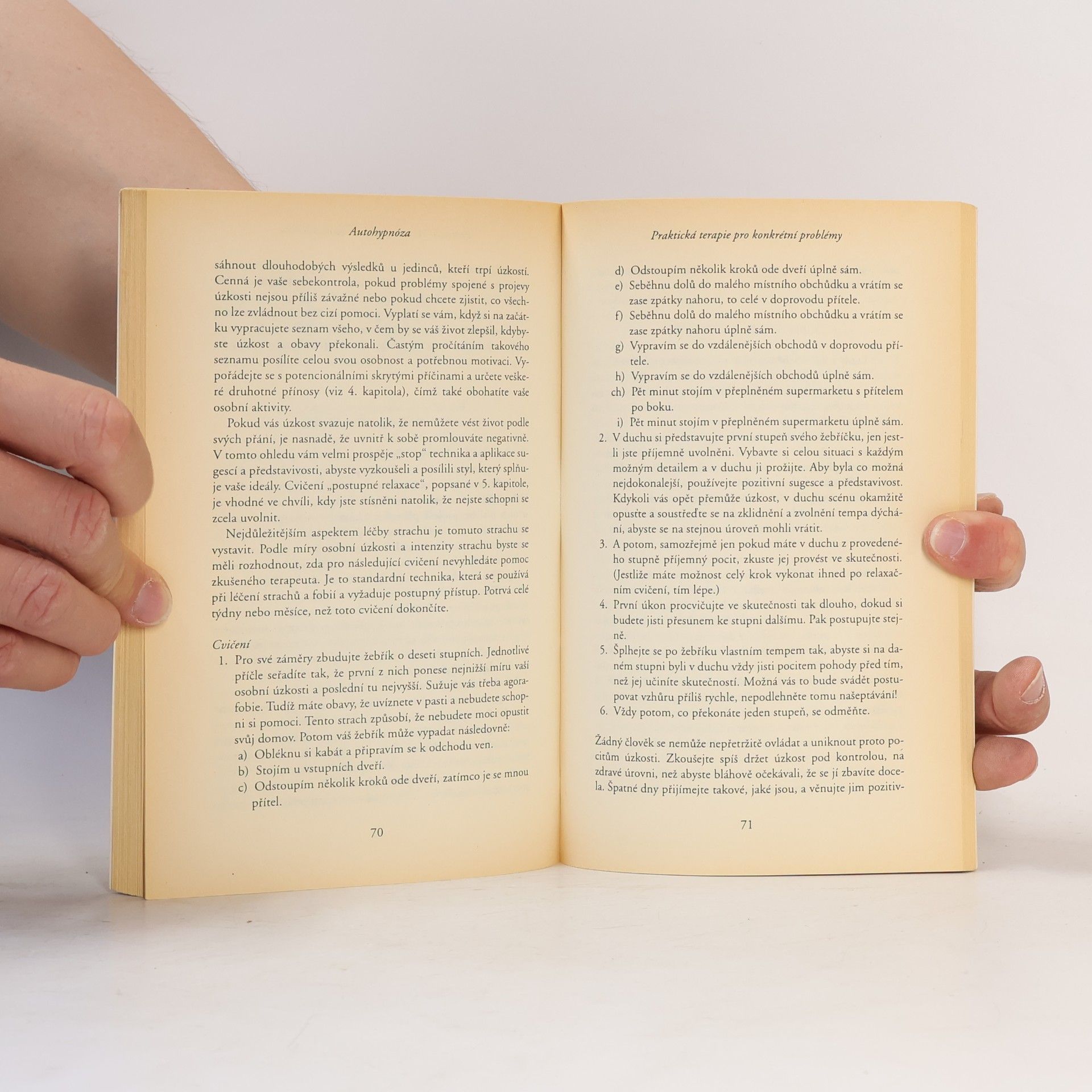 Elaine Sheehan Autohypnóza - Zdravé techniky, které vyřeší vaše každodenní problémy
