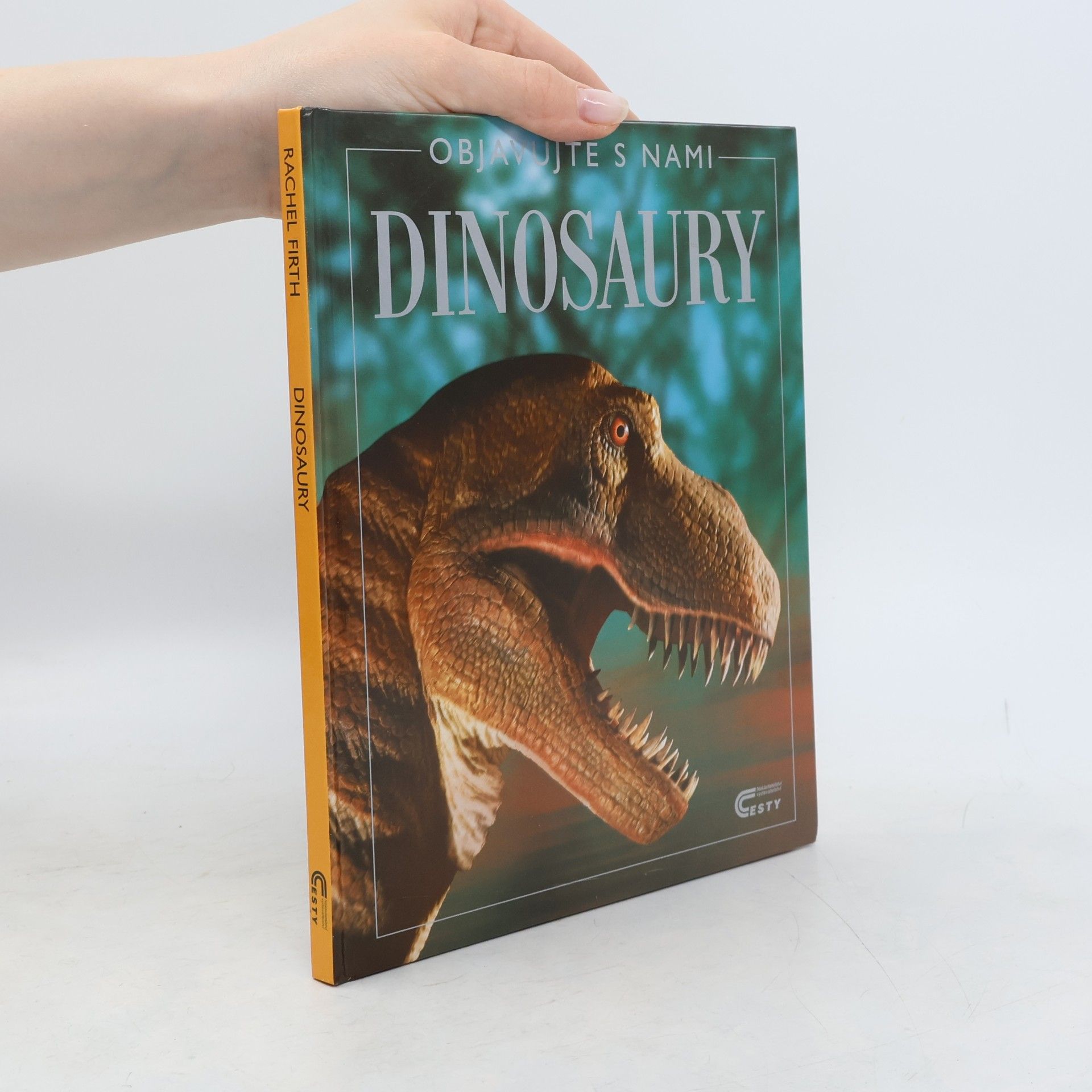 Rachel Firth Dinosaury