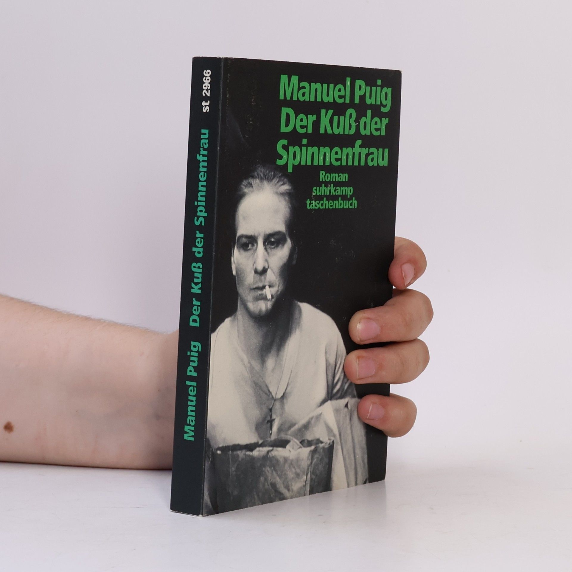 Manuel Puig Der Kuß der Spinnenfrau