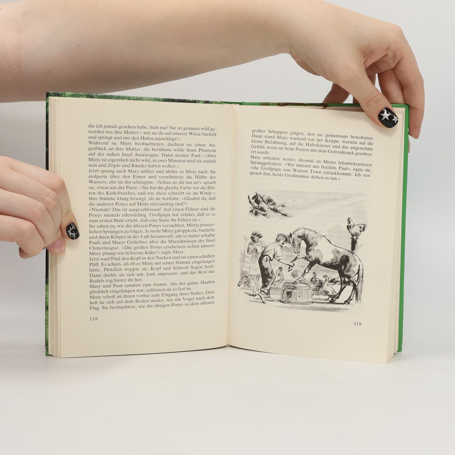Marguerite Henry Misty die berühmte Ponystute. Seestern das verwaiste Fohlen