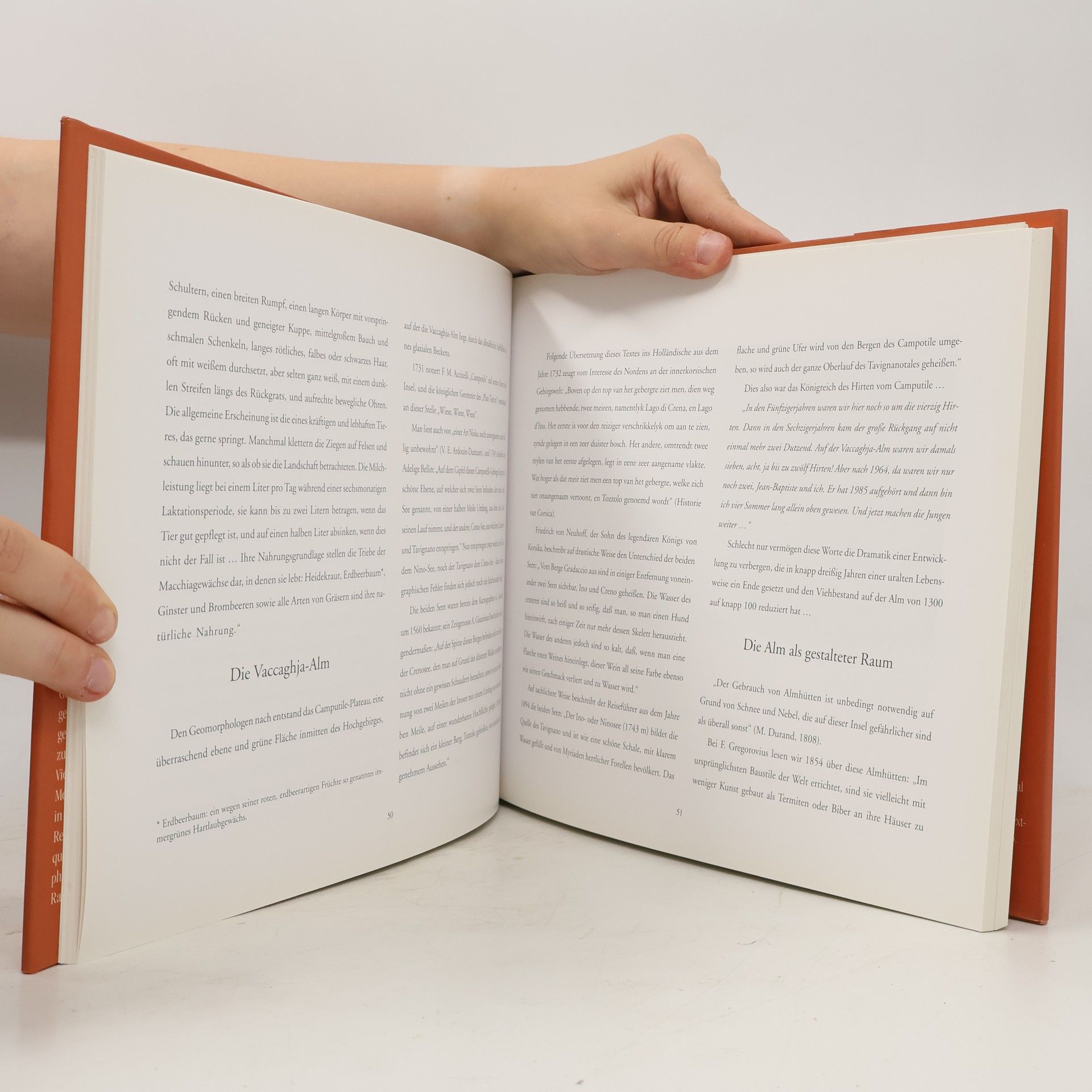 Irmtraud Hubatschek Die Insel der Hirten: Von Jacquot und seinen Ziegen auf Korsika