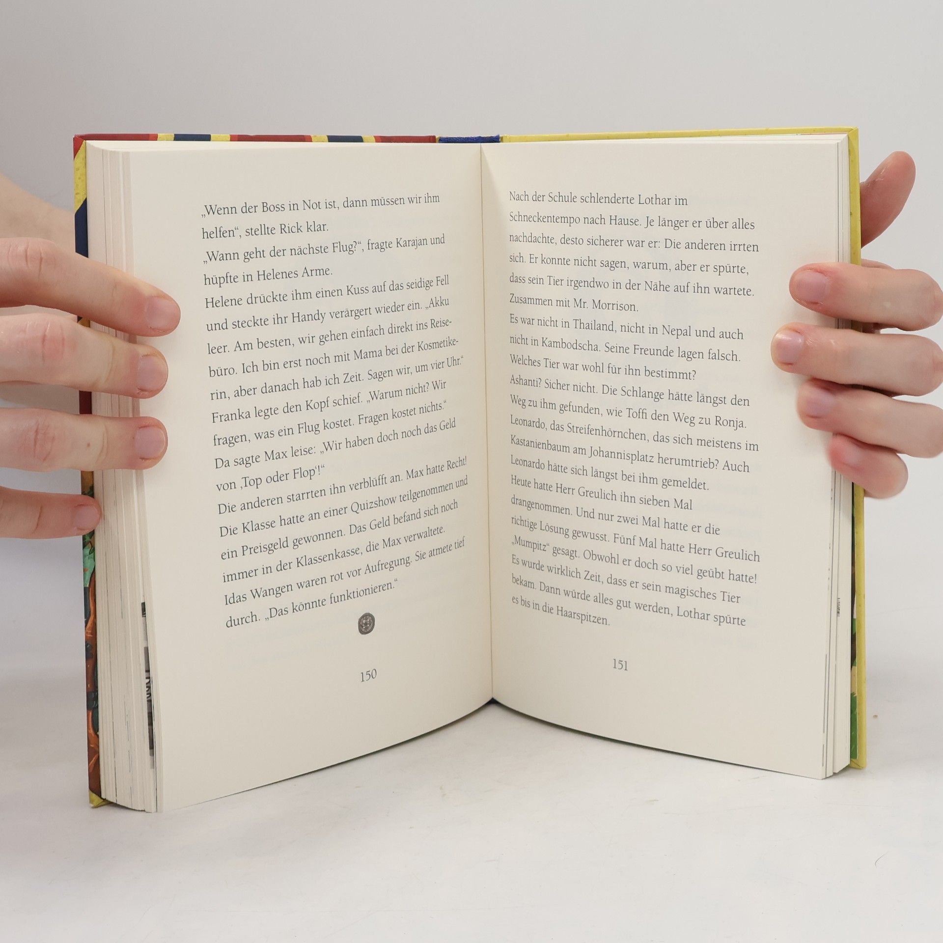 Margit Auer Die Schule der magischen Tiere 7: Wo ist Mr. M?