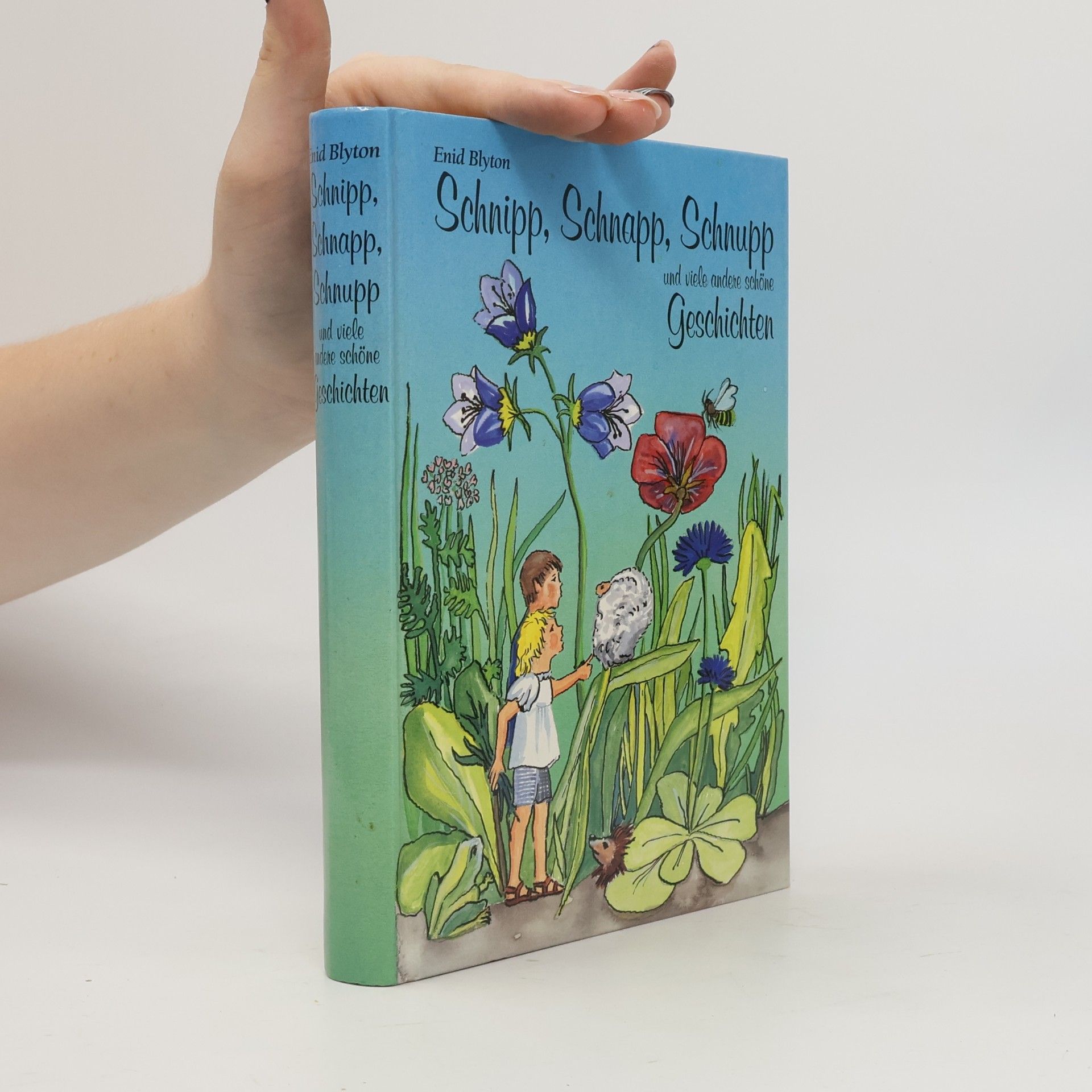 Enid Blyton Schnipp, Schnapp, Schnupp und viele andere schöne Geschichten