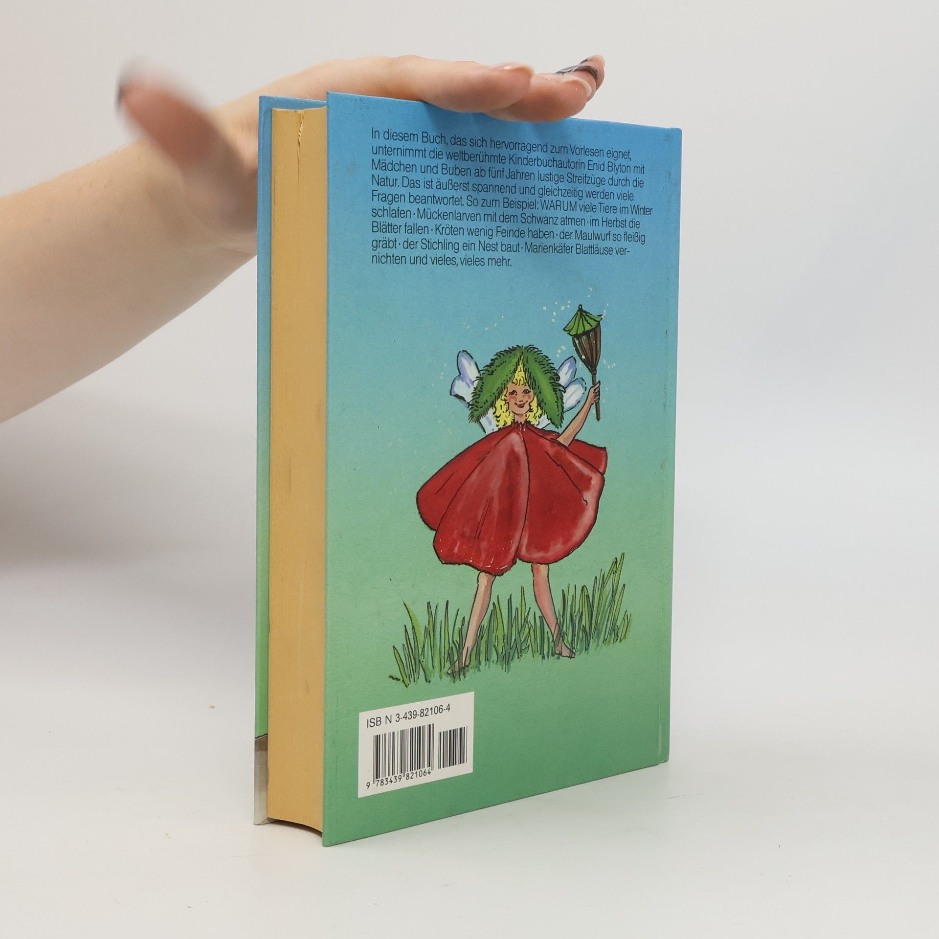 Enid Blyton Schnipp, Schnapp, Schnupp und viele andere schöne Geschichten