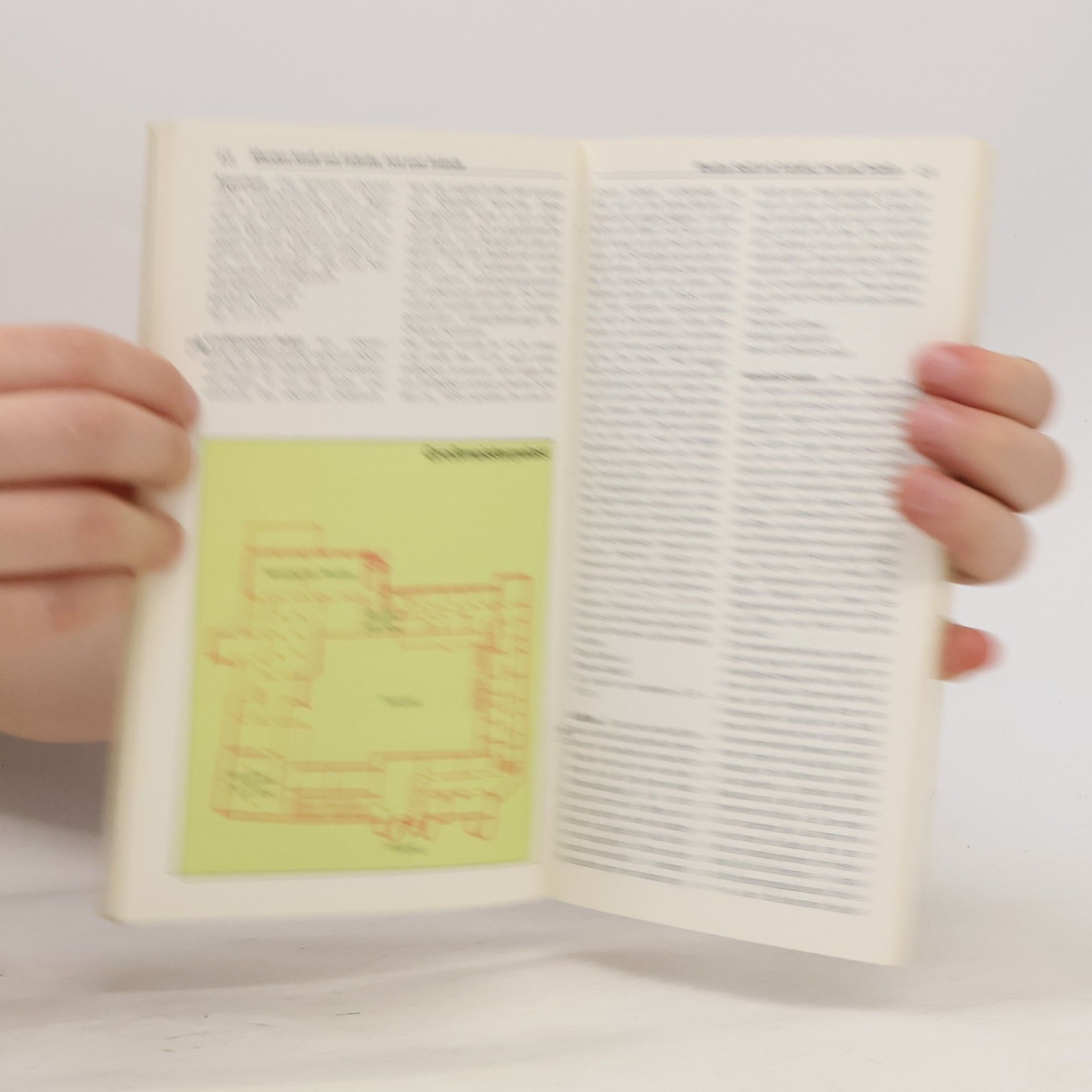 Klaus Boetig Rhodos - Aktualisierte Neuauflage - farbig und informativ