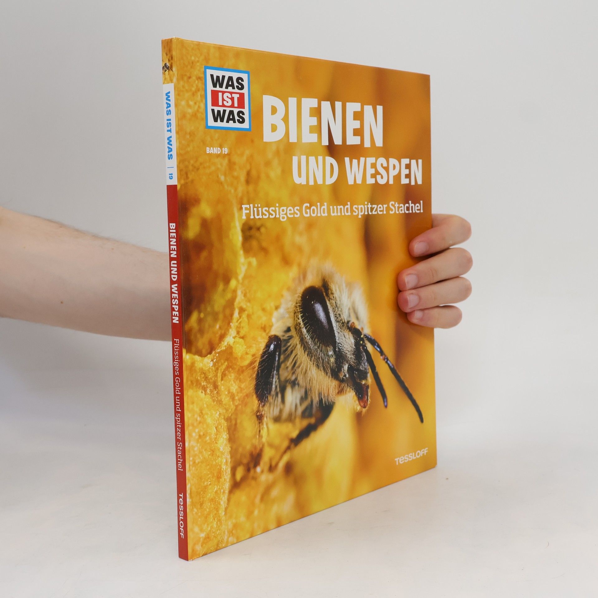 Alexandra Rigos Bienen und Wespen