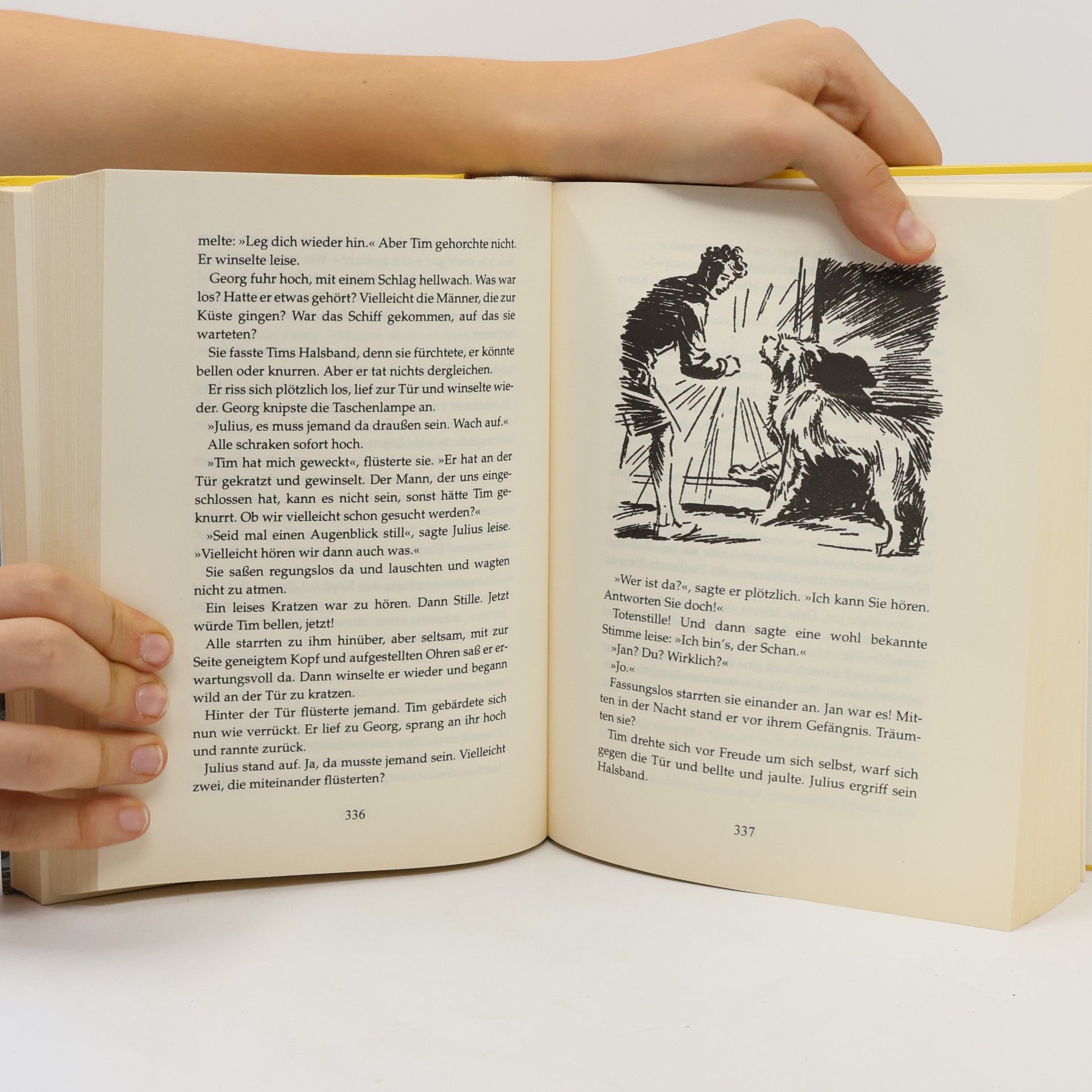 Enid Blyton Die aufregendsten Abenteuer