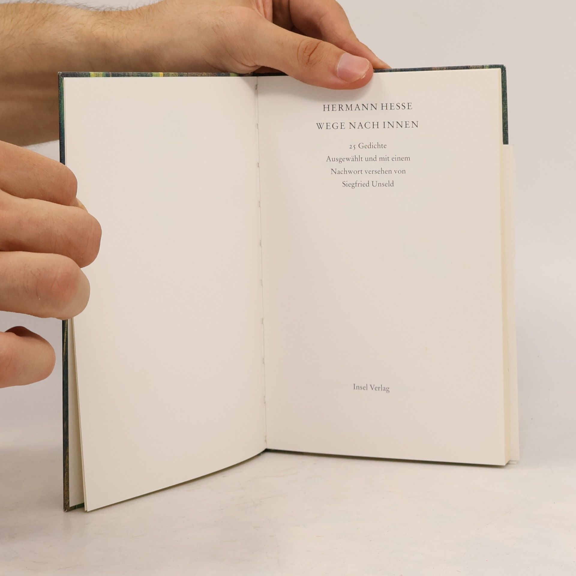 Hermann Hesse Wege nach innen