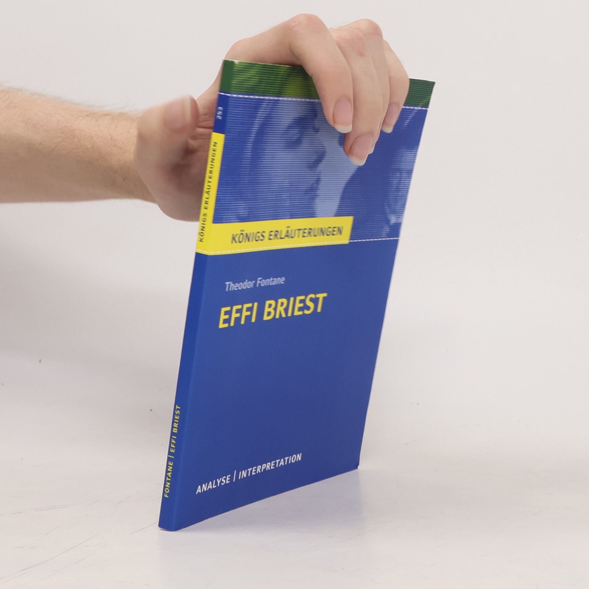 Textanalyse und Interpretation zu Theodor Fontane, Effi Briest