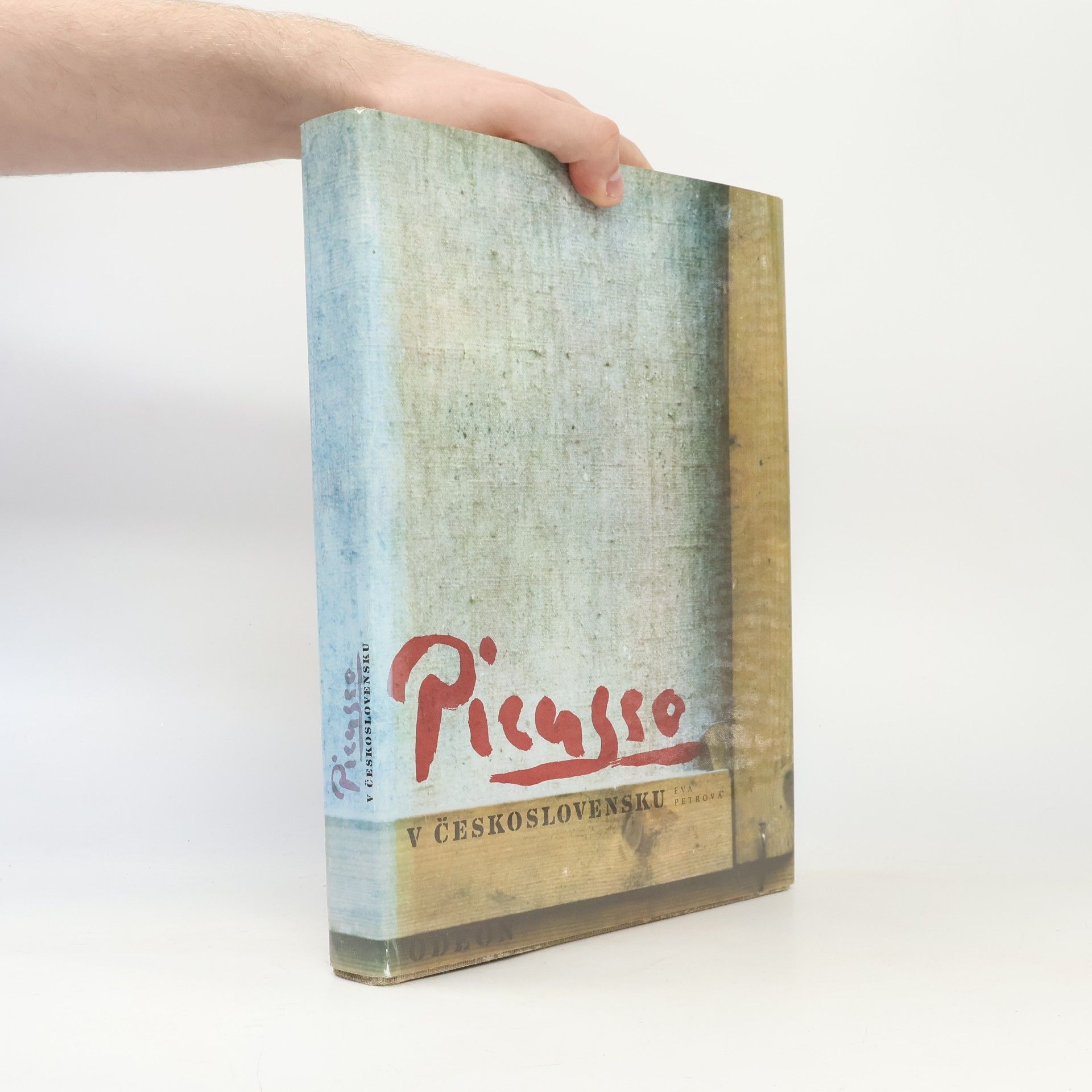 Eva Petrová Picasso v Československu