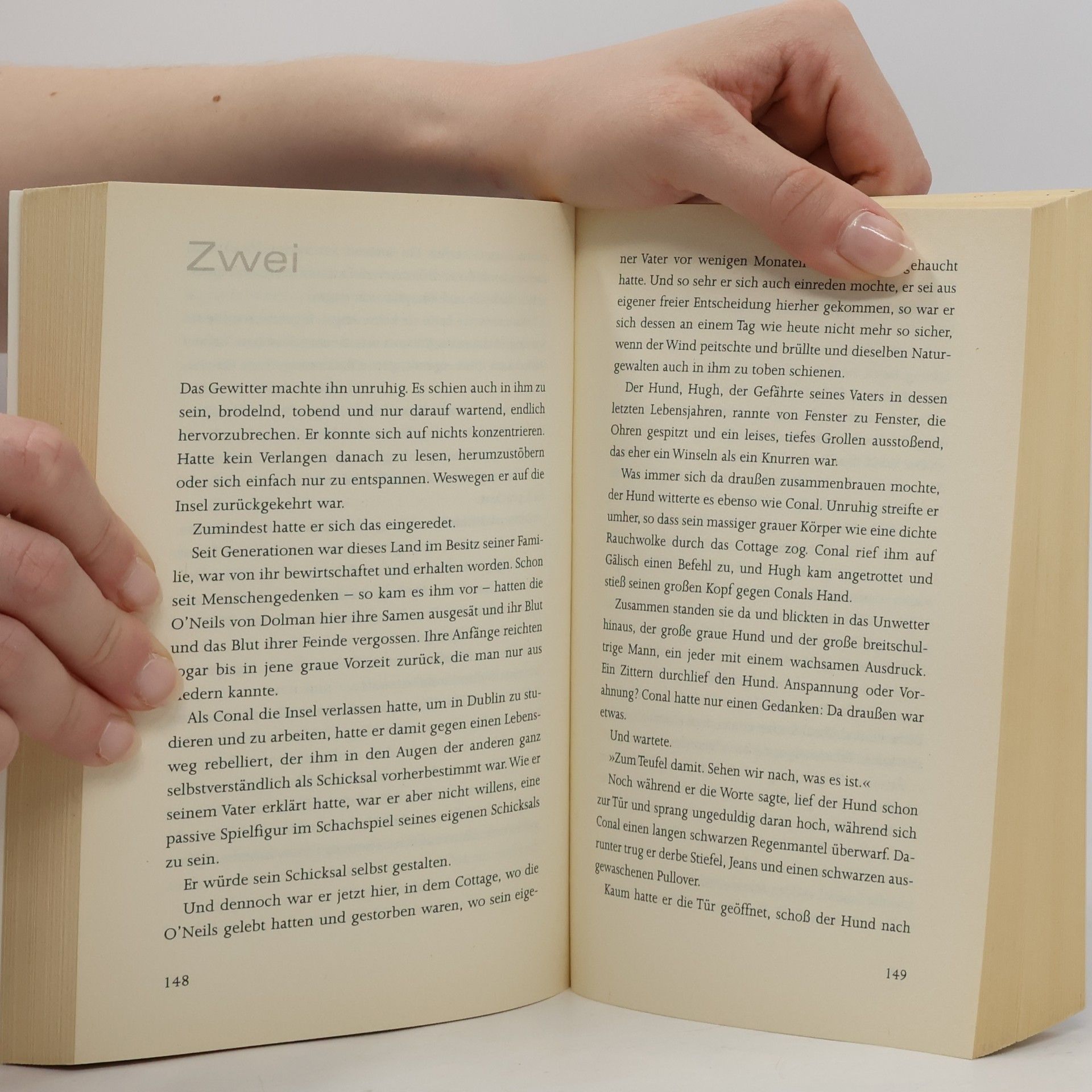 Nora Roberts Im Licht der Träume