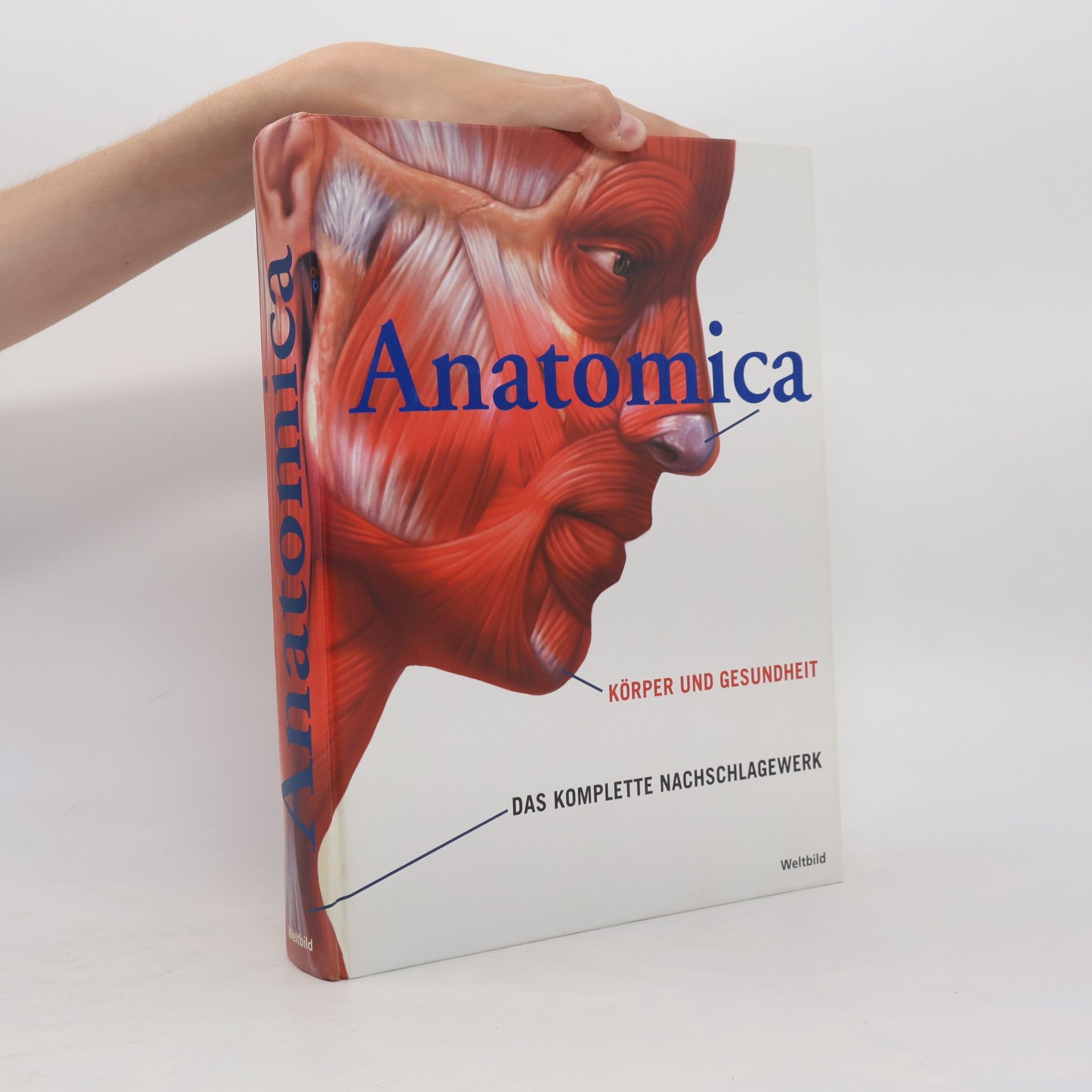 Gordon Cheers Anatomica