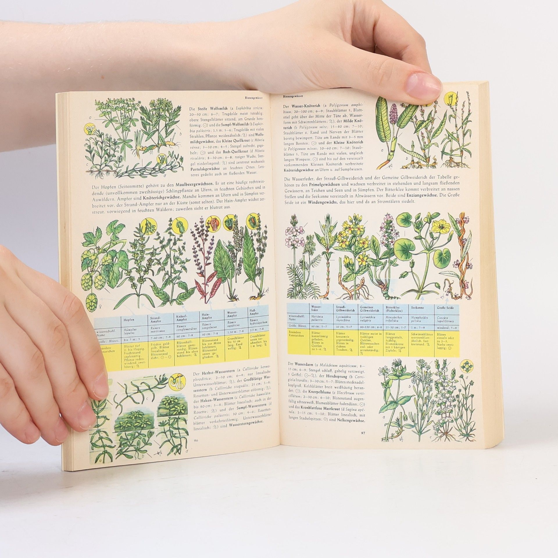 Harry Garms Pflanzen und Tiere Europas