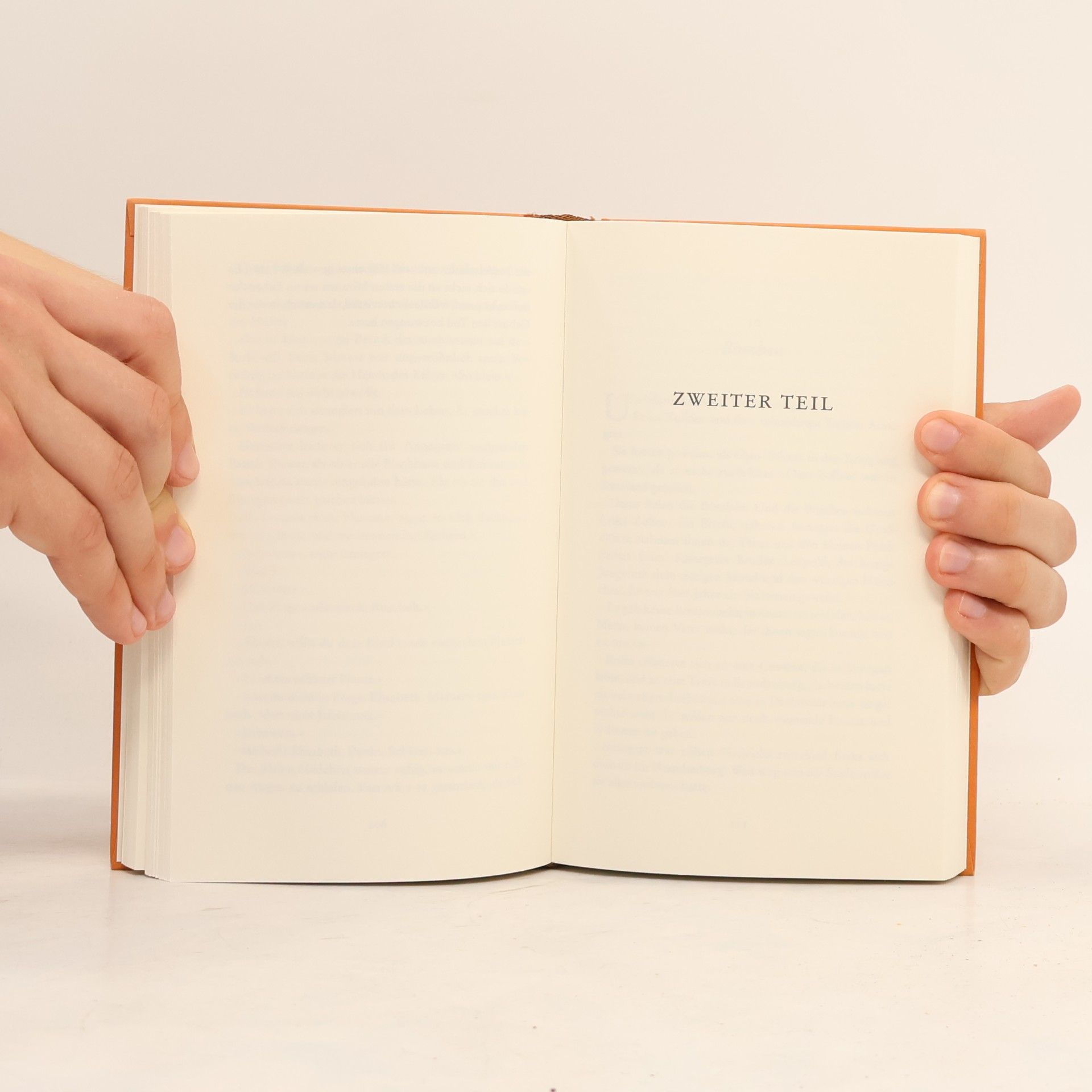 Astrid Rosenfeld Kinder des Zufalls
