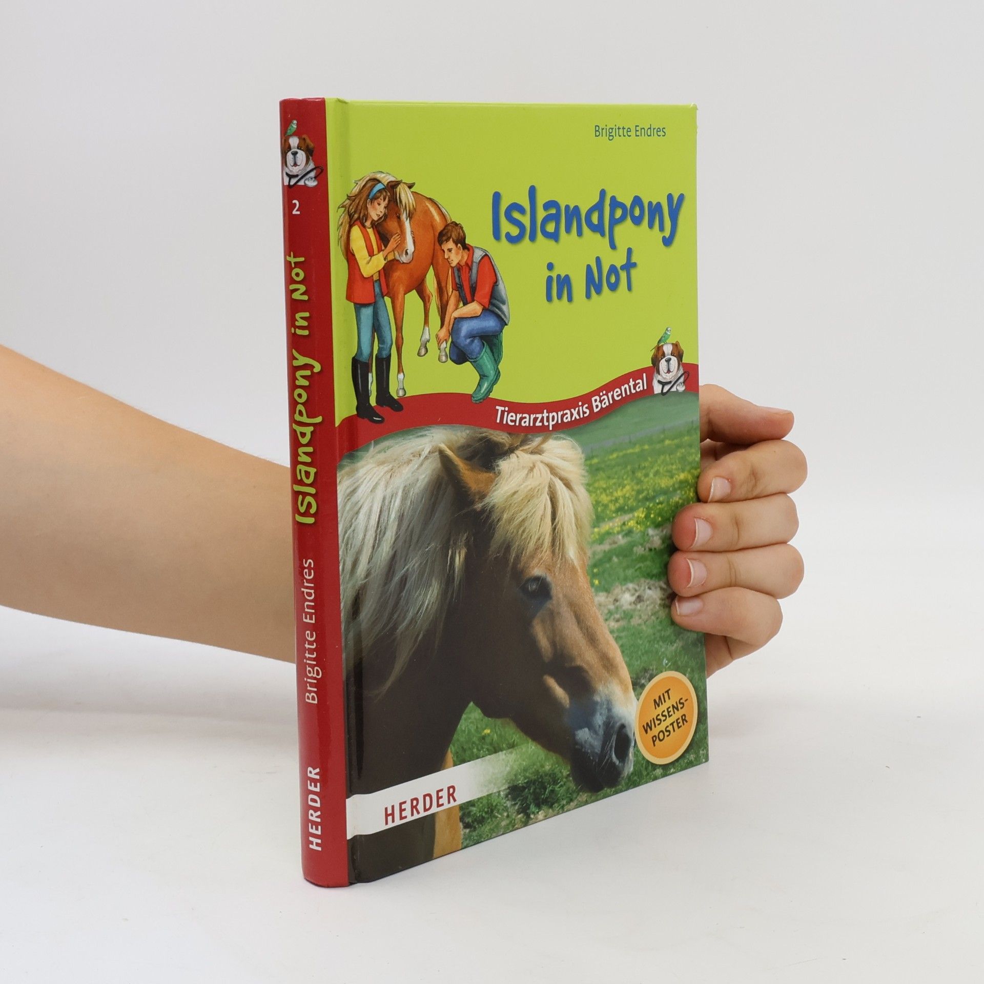 Brigitte Endres Tierarztpraxis Bärental. Islandpony in Not