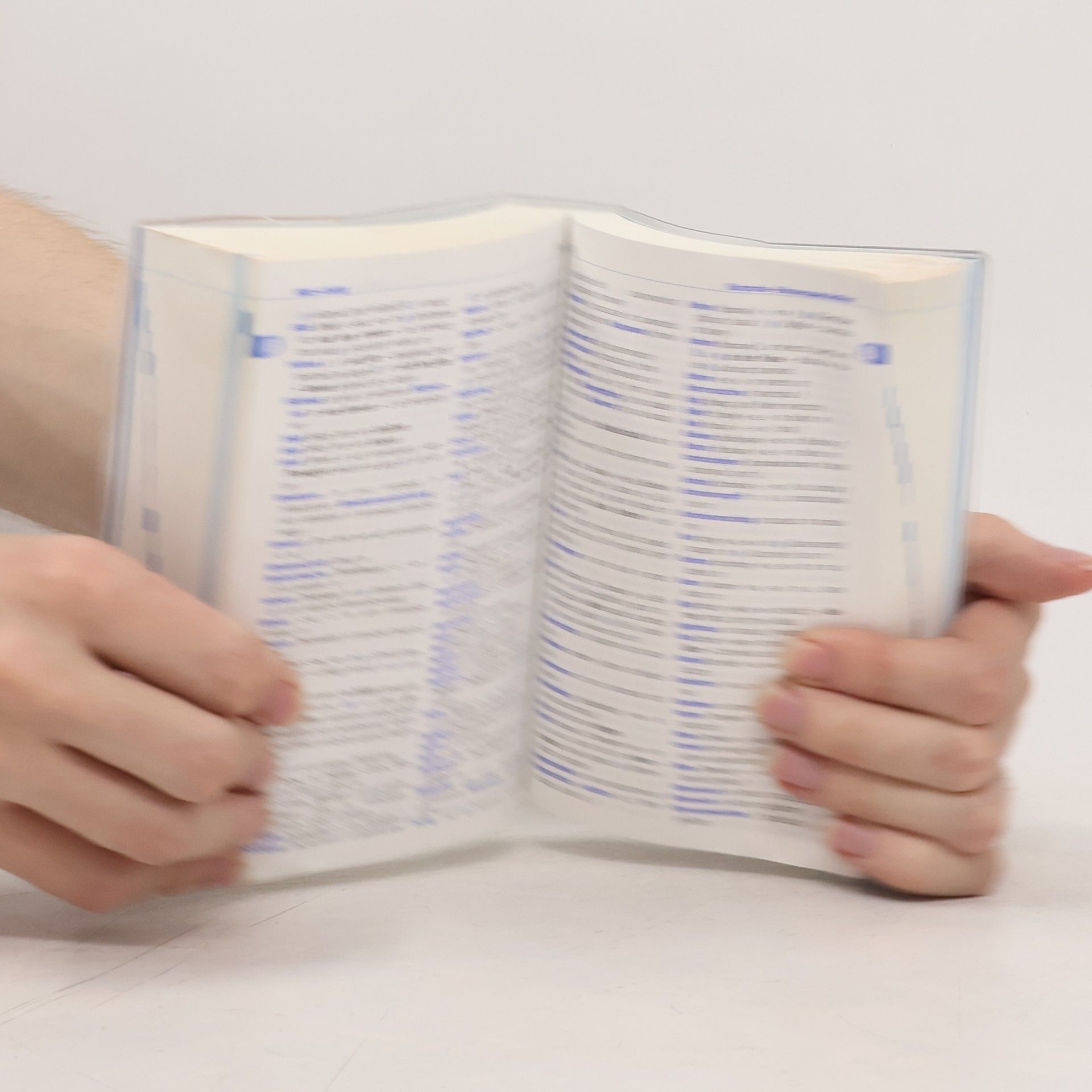 Dominika Janus PONS Basiswörterbuch Polnisch-Deutsch, Deutsch-Polnisch