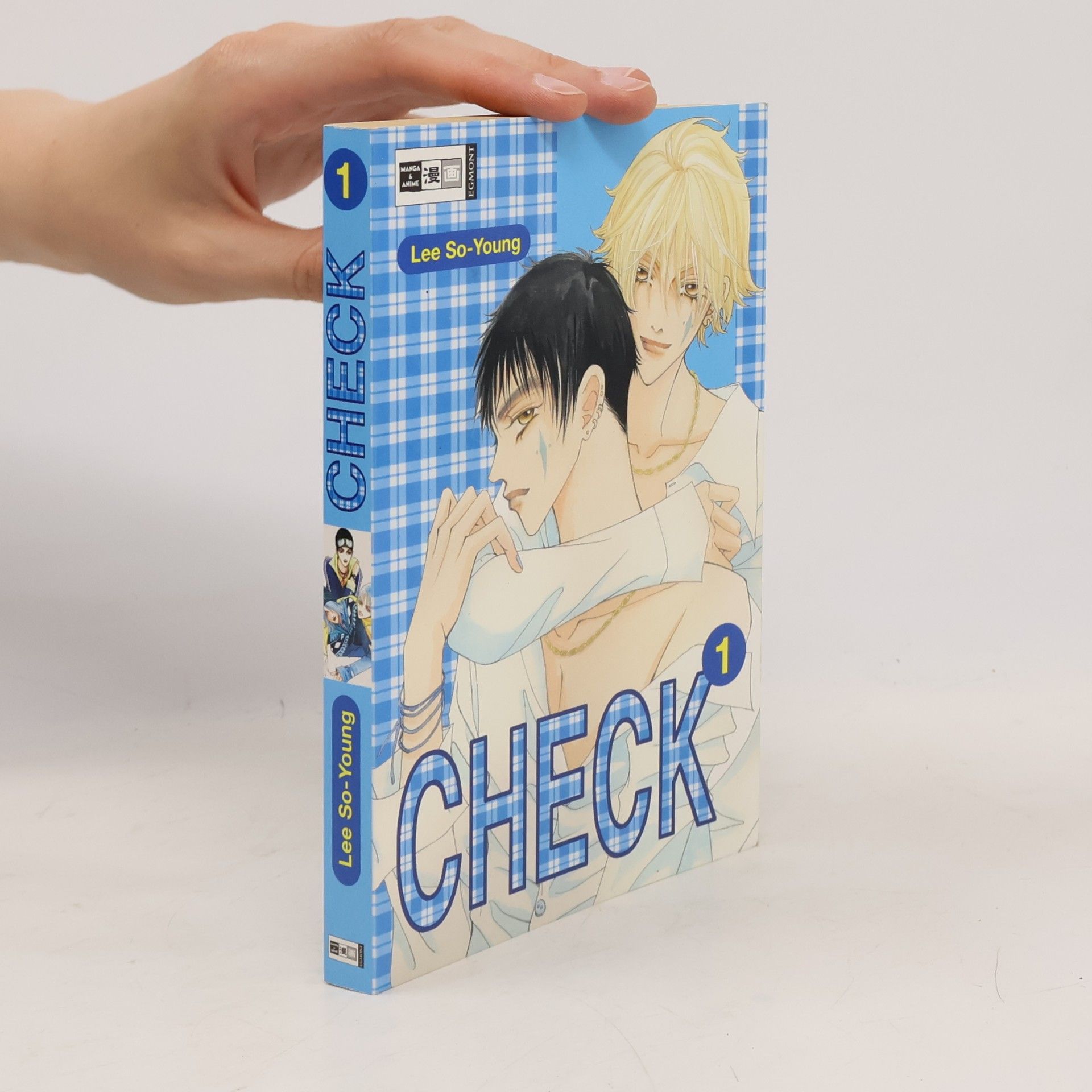 Autorenkollektiv Check