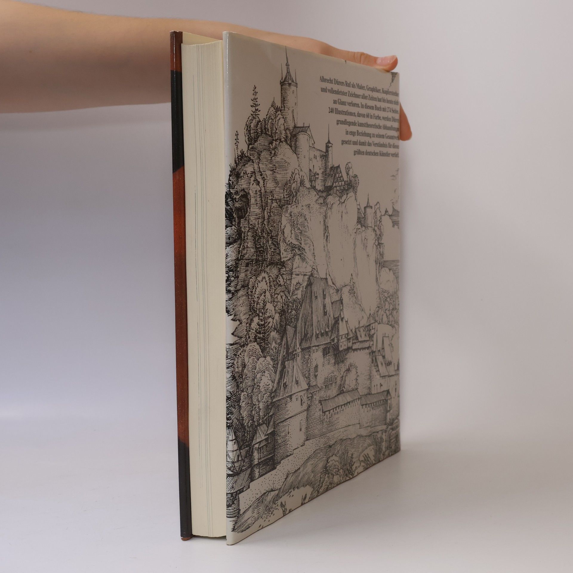 Fedia Anzelewsky Dürer Werk und Wirkung