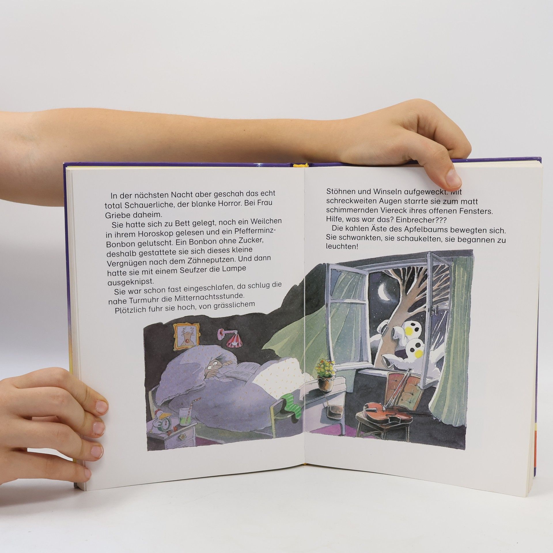 Autorenkollektiv Das Super Leselöwen Abenteuerbuch