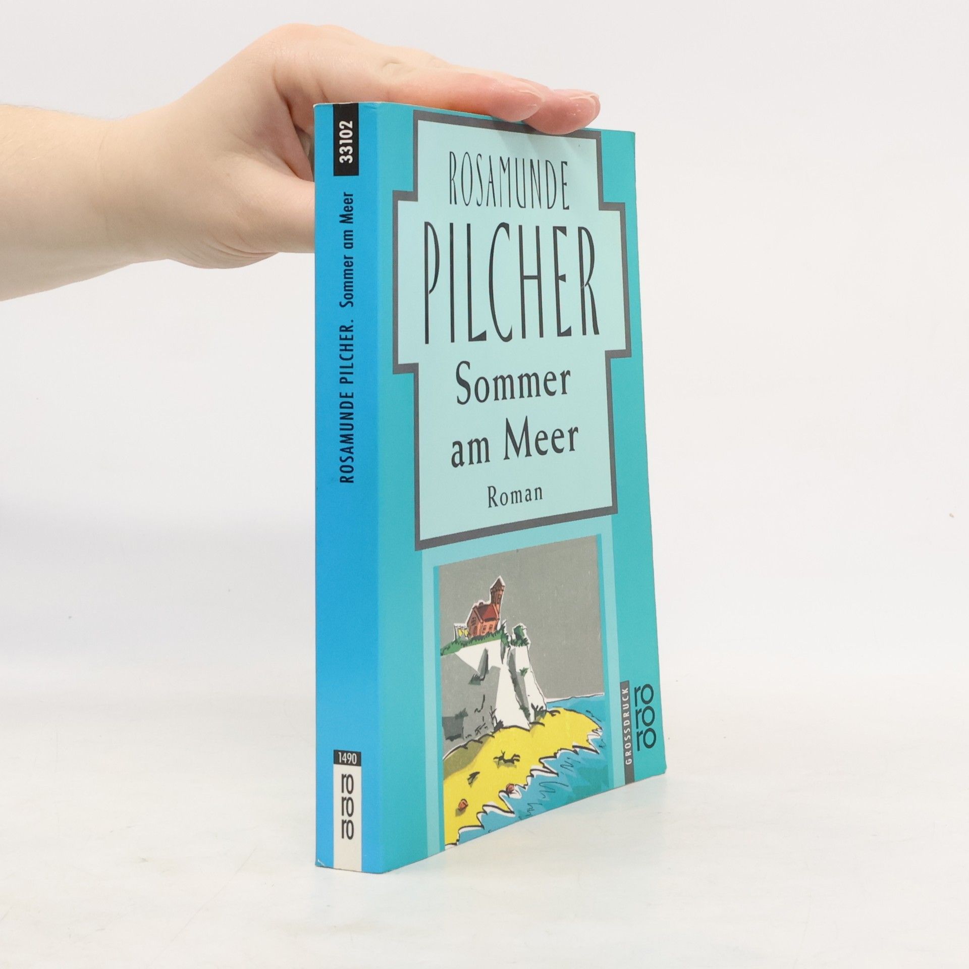 Rosamunde Pilcher Sommer am Meer